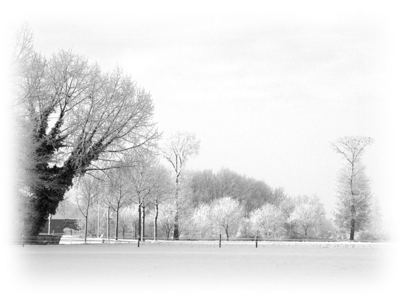 snow-in-black-and-white