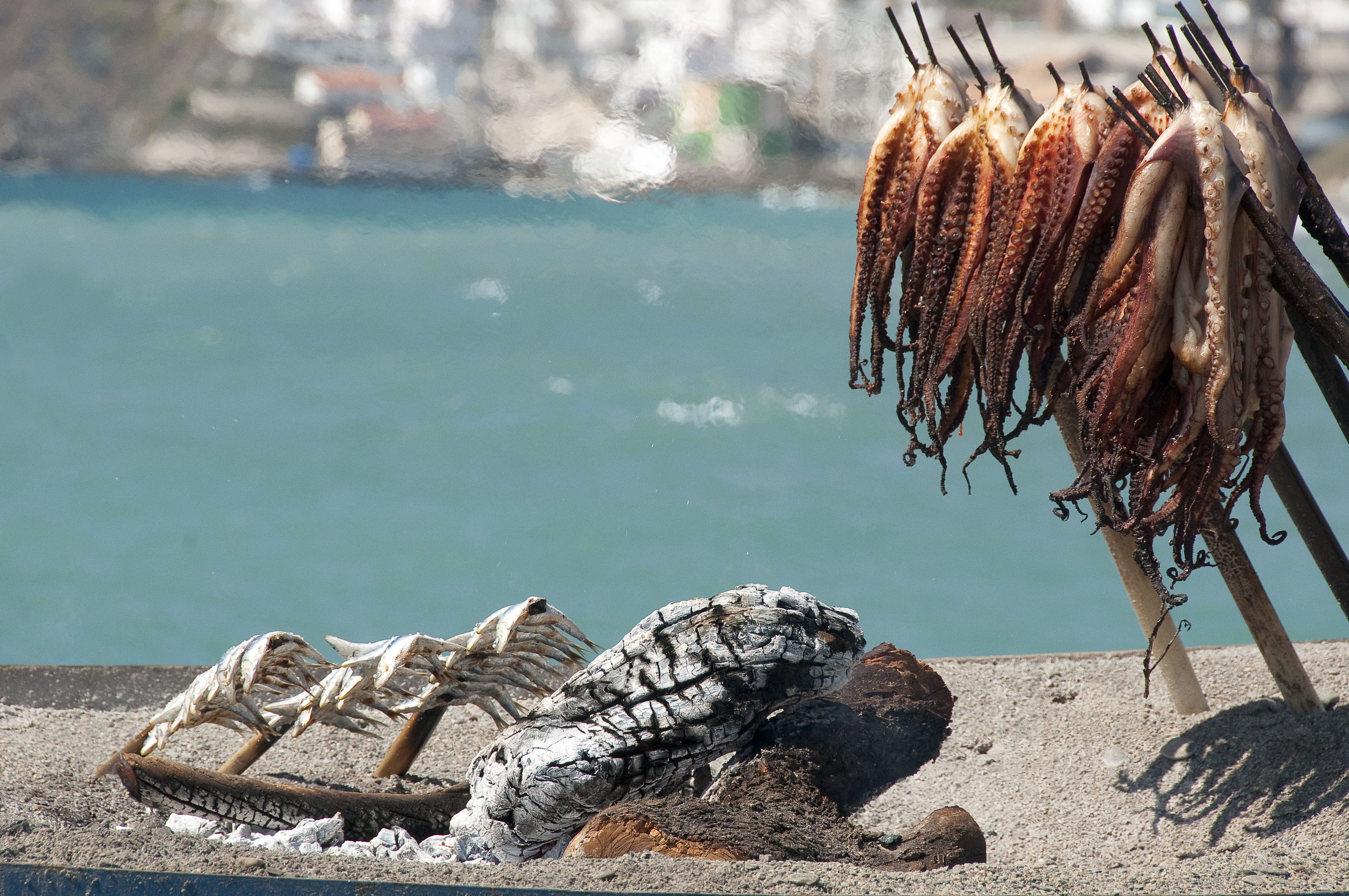 salobre%C3%B1a-spanje