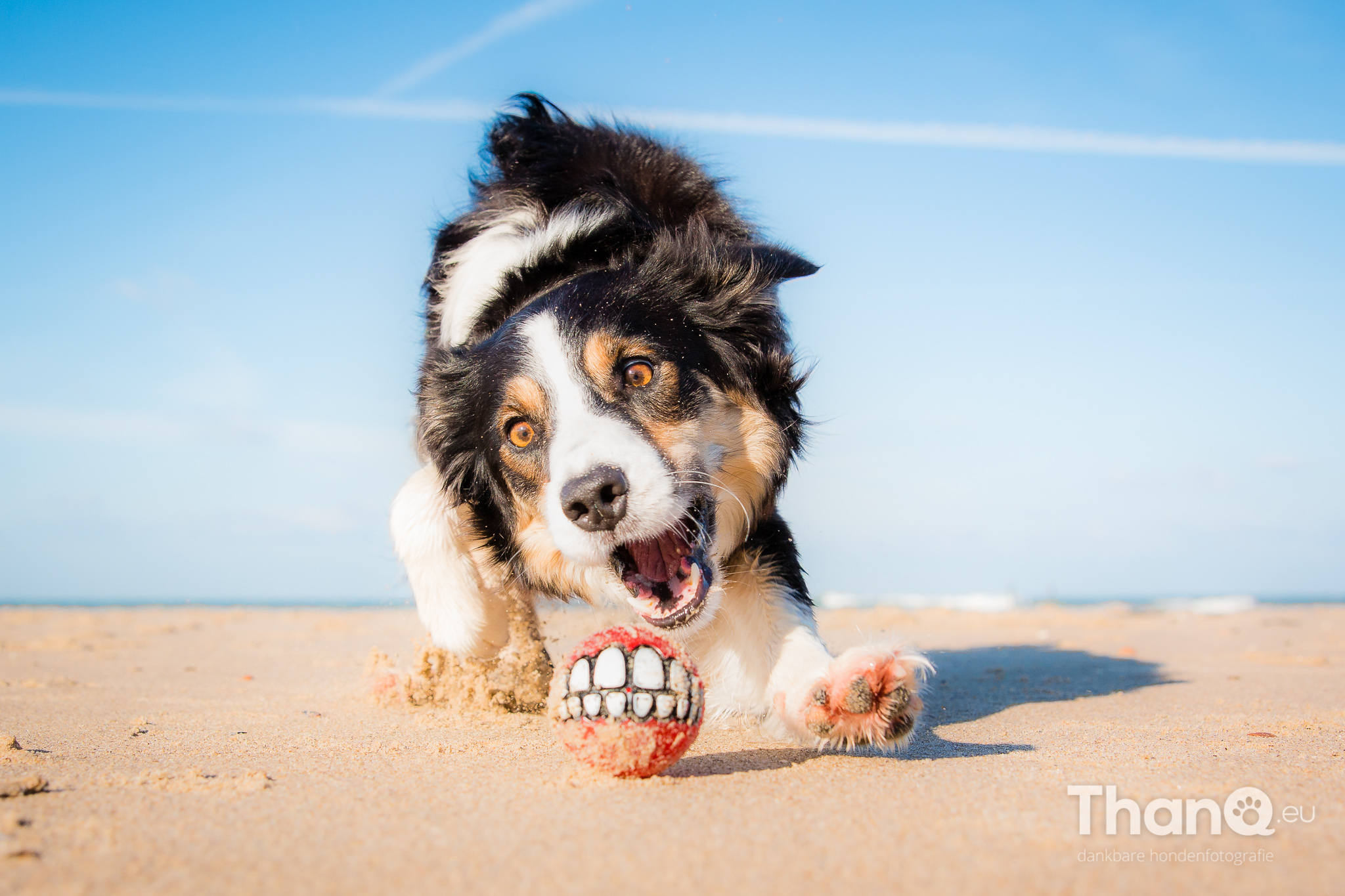 jindi-focust-op-de-bal