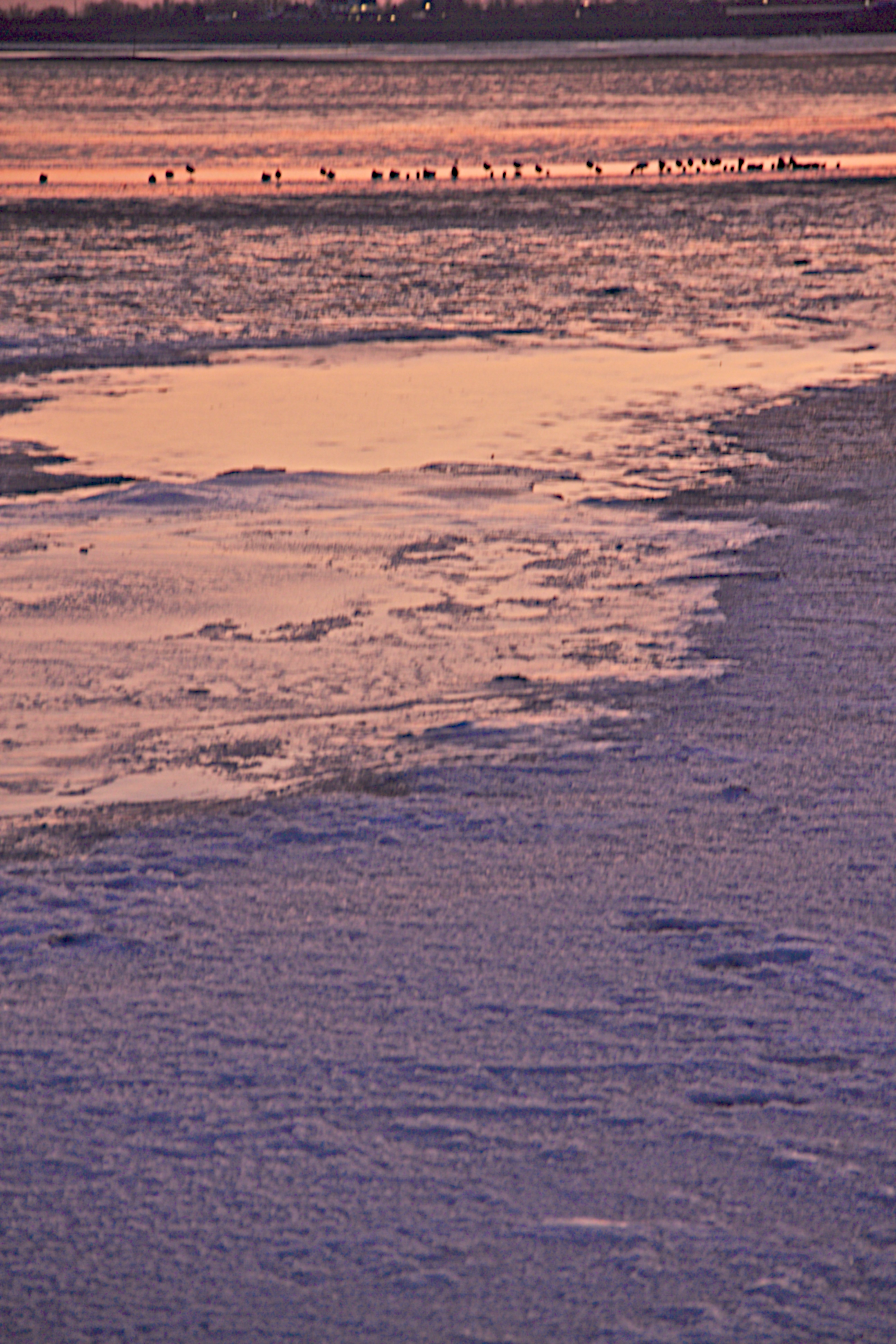 waiting-for-spring-1