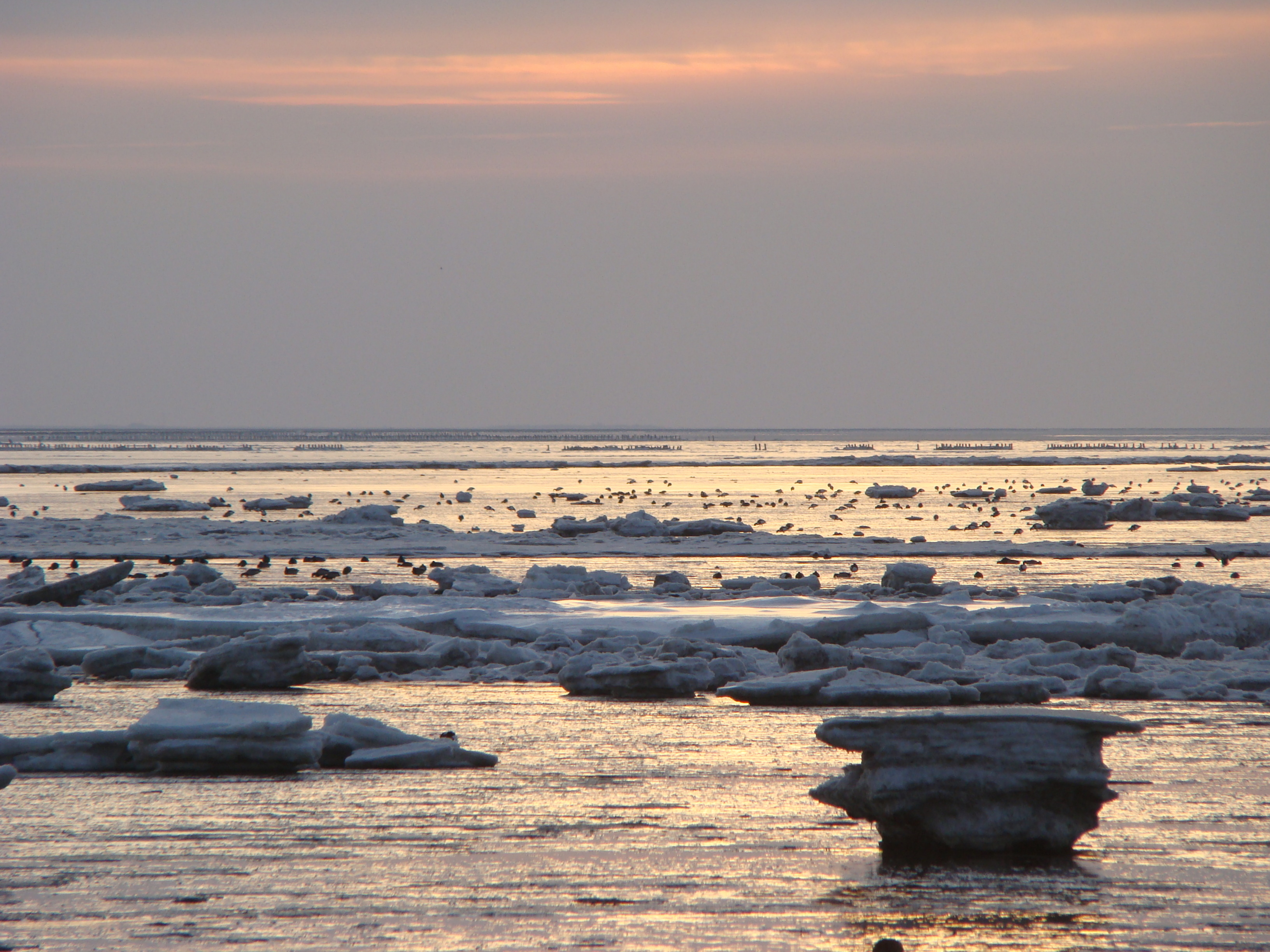 zonsondergang-bij-de-pier-van-holwerd