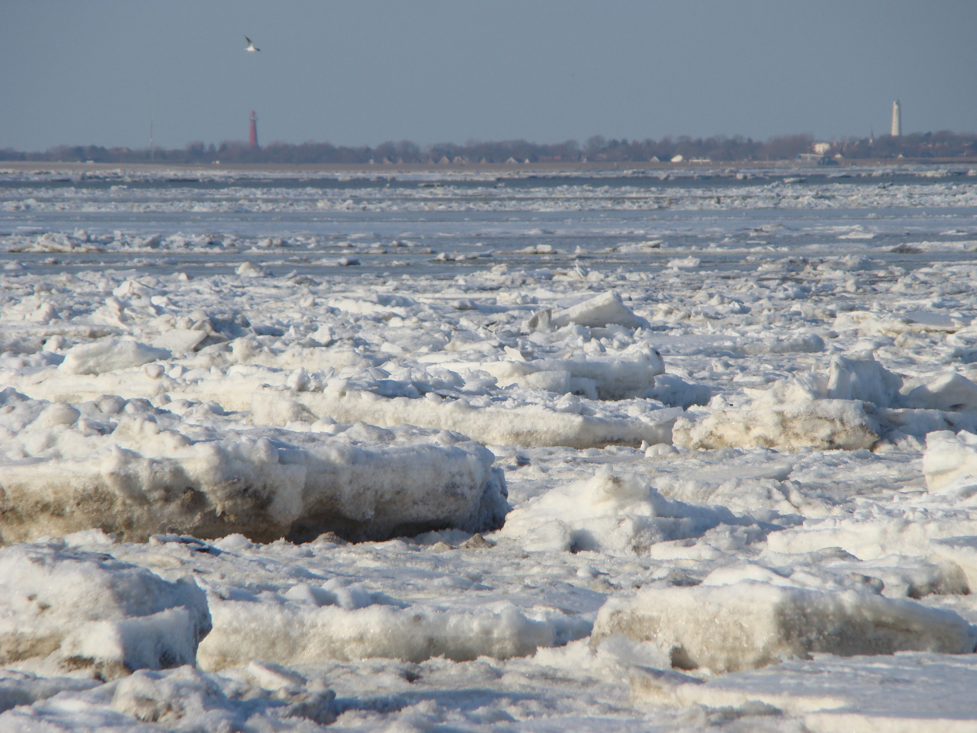 bevroren-waddenzee