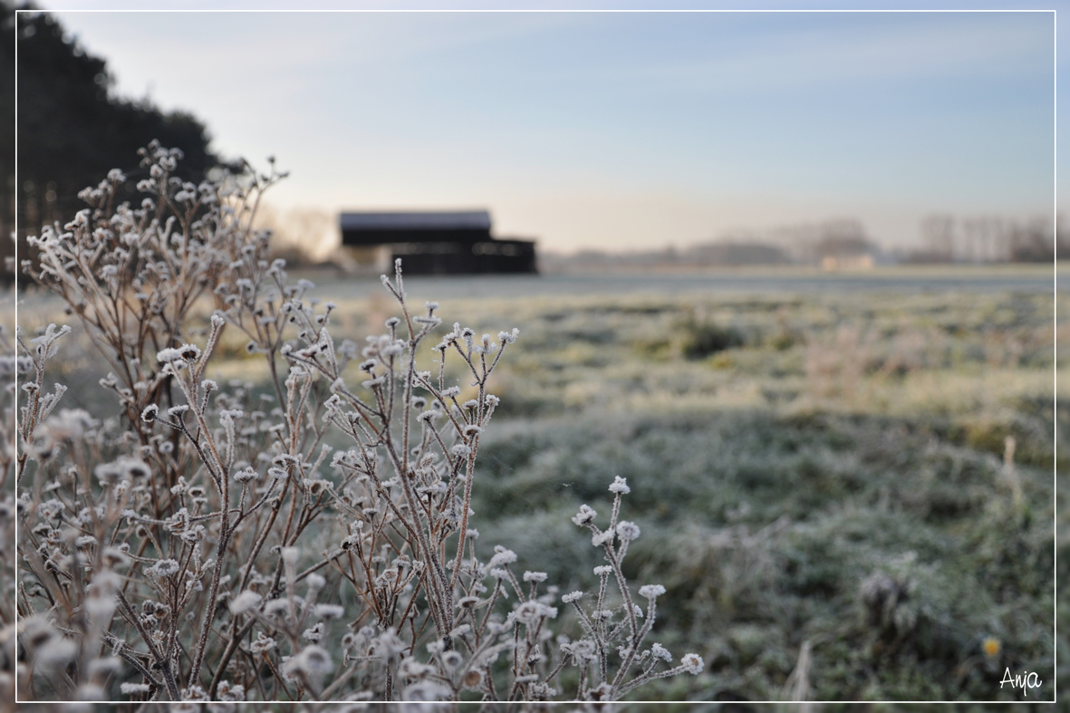 a-little-bit-of-snow