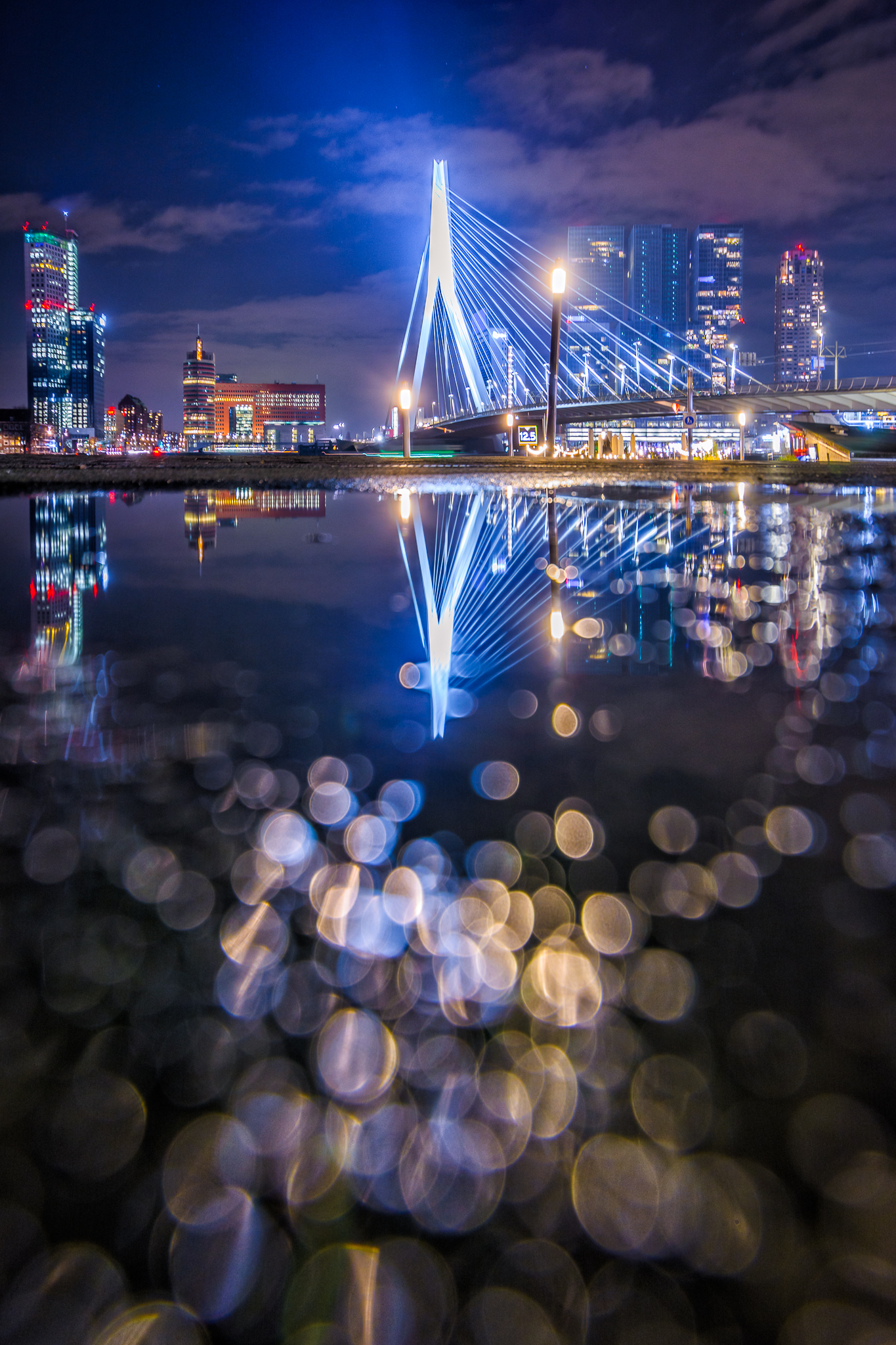 rotterdam-puddlegram