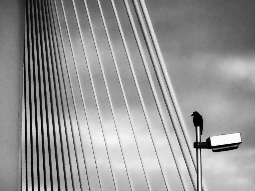 tuien-van-de-prins-clausbrug-utrecht