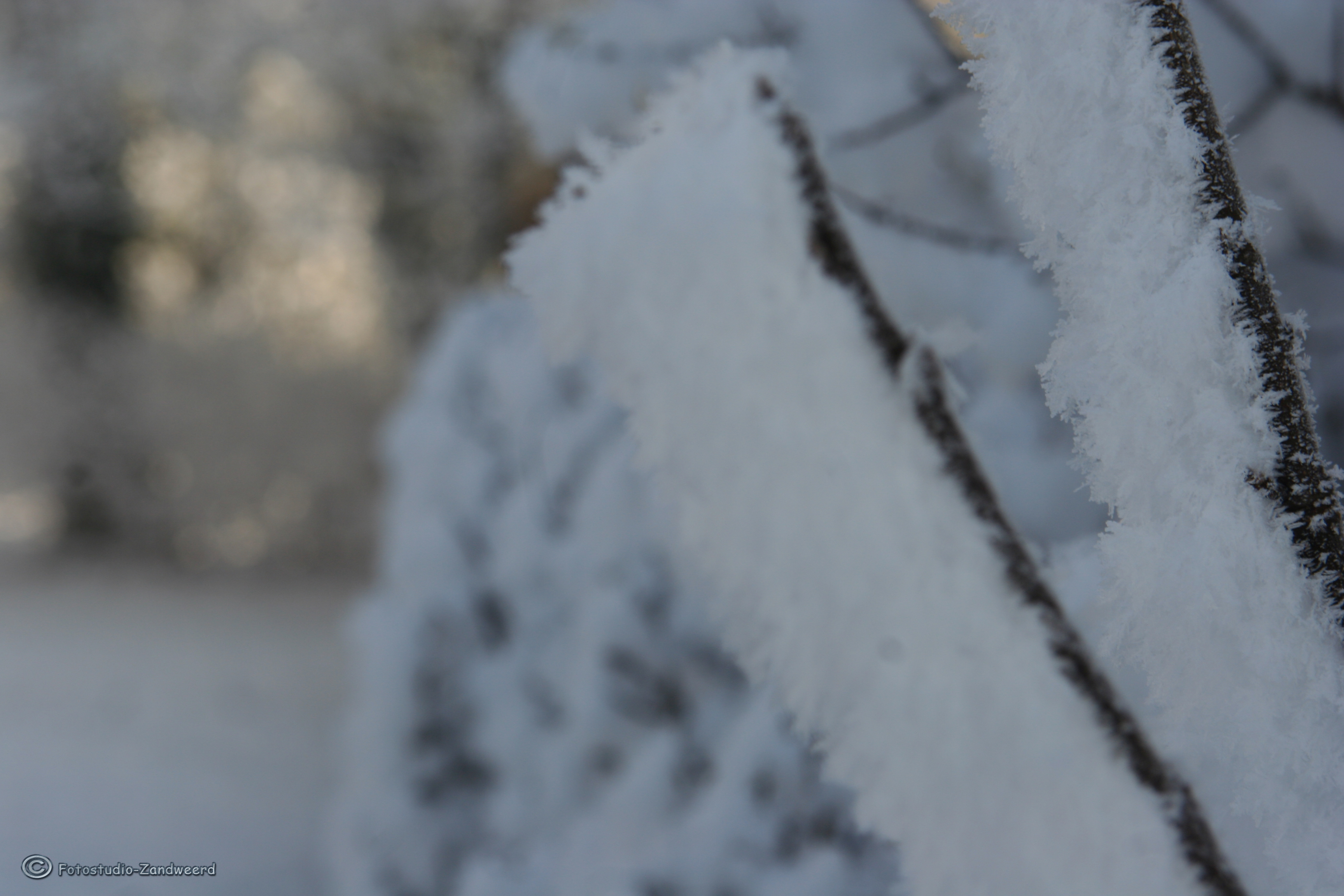 winter-in-deventer-1