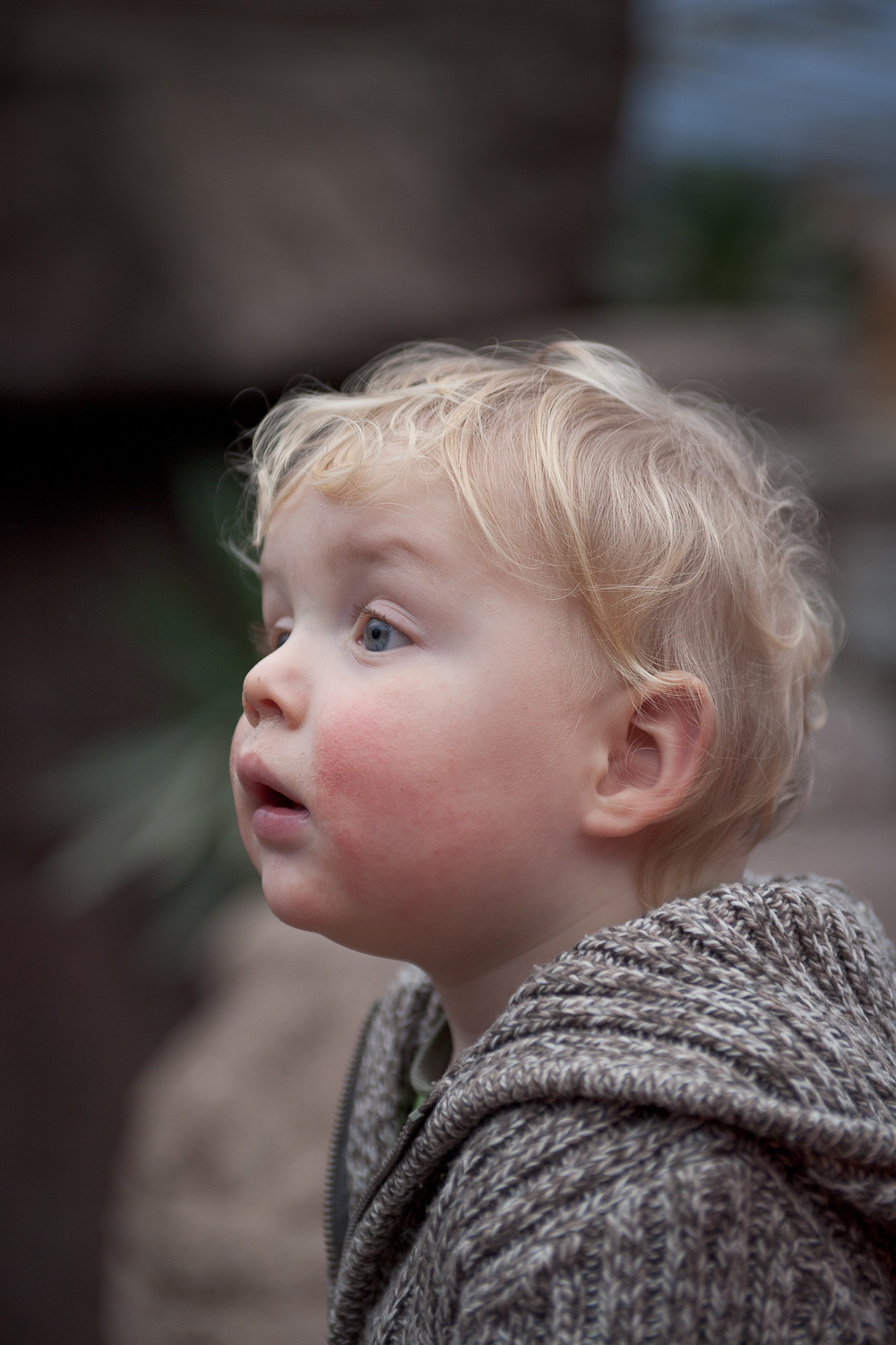 portret-met-scherptediepte