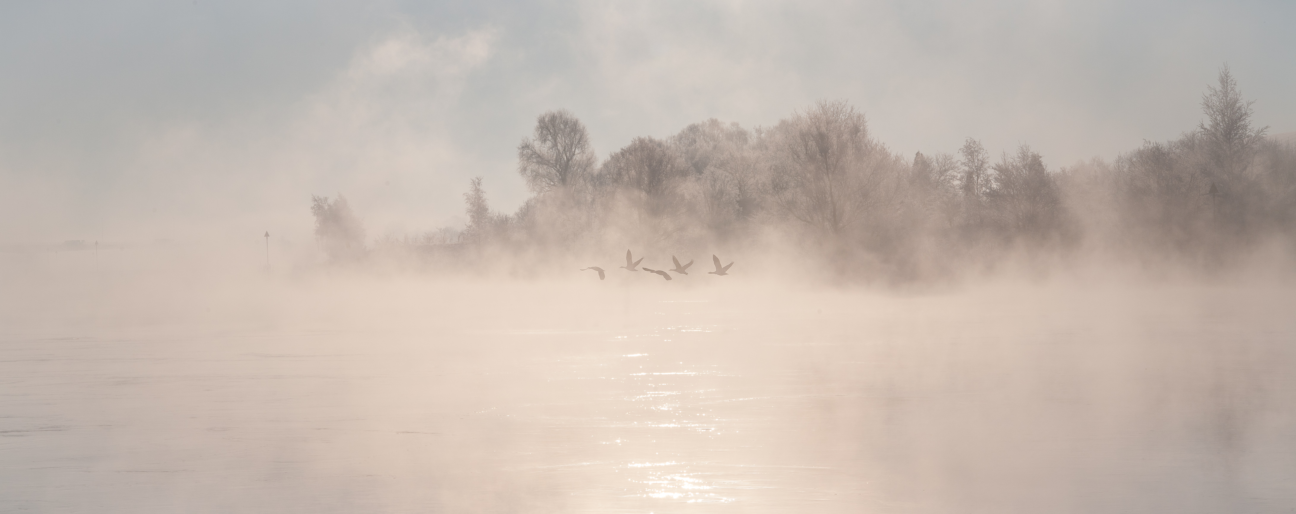 nederrijn-met-sneeuw-en-mist
