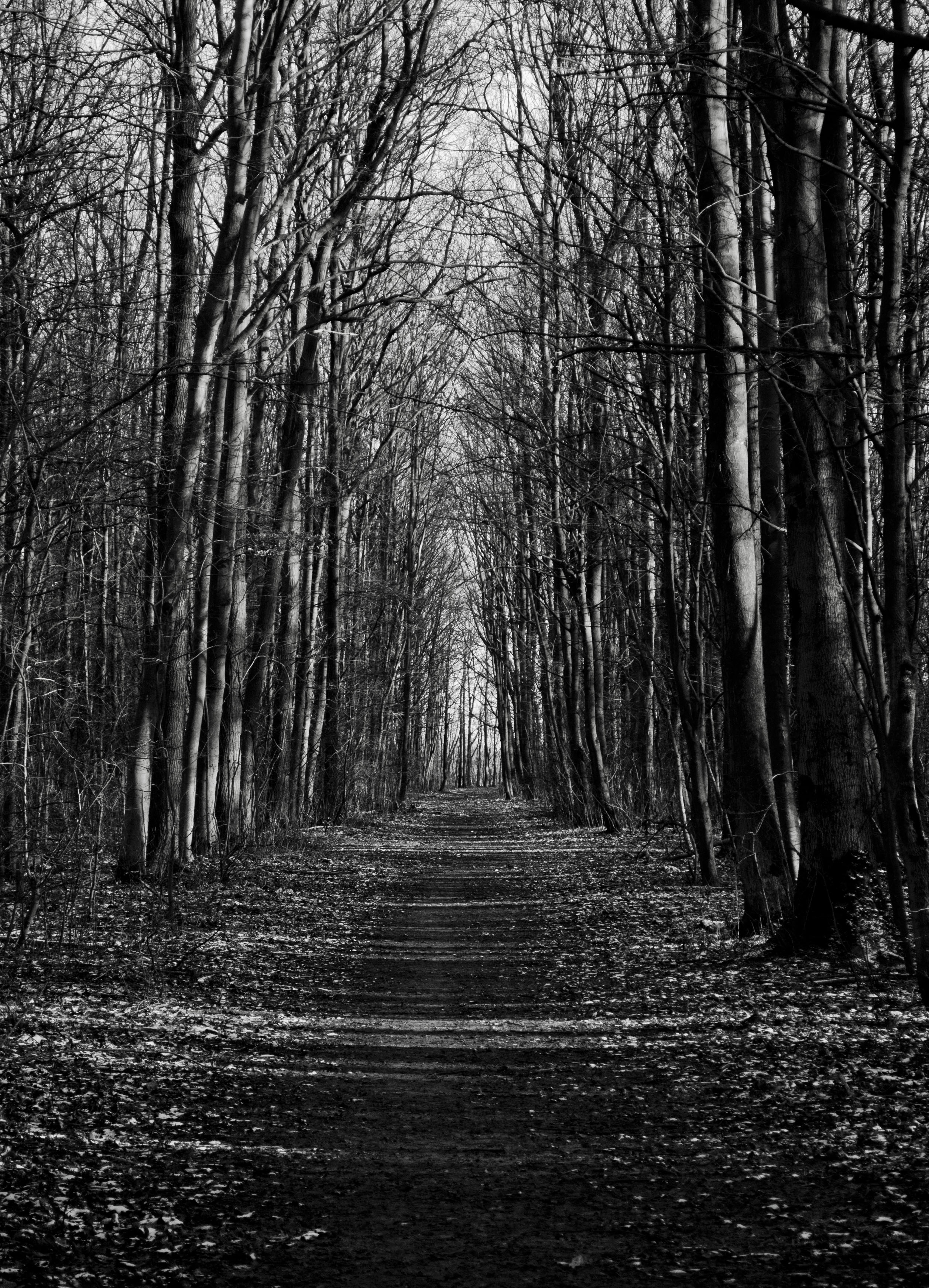 de-kracht-van-lijnen