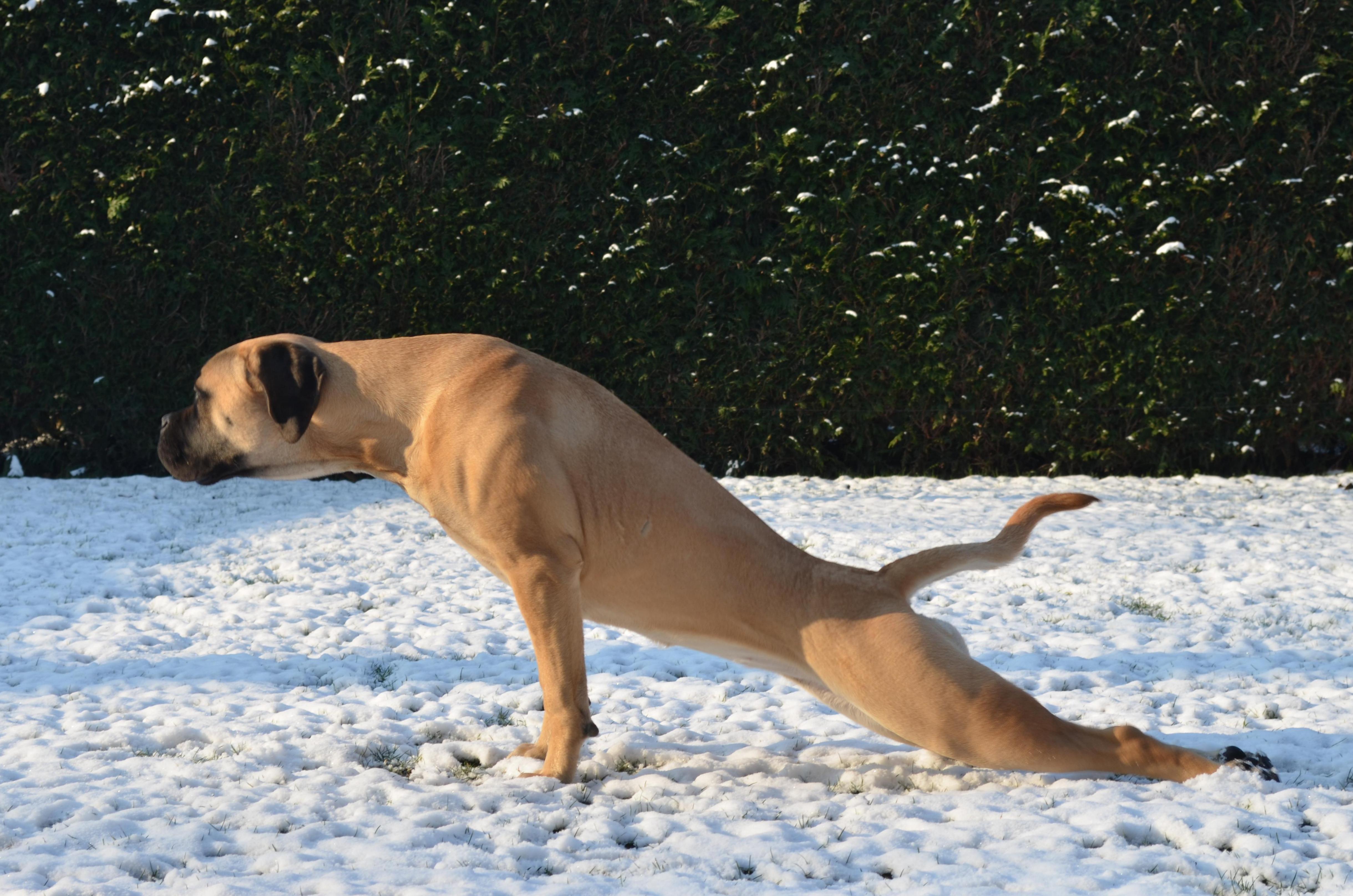 lekker-mijn-eerste-sneeuw