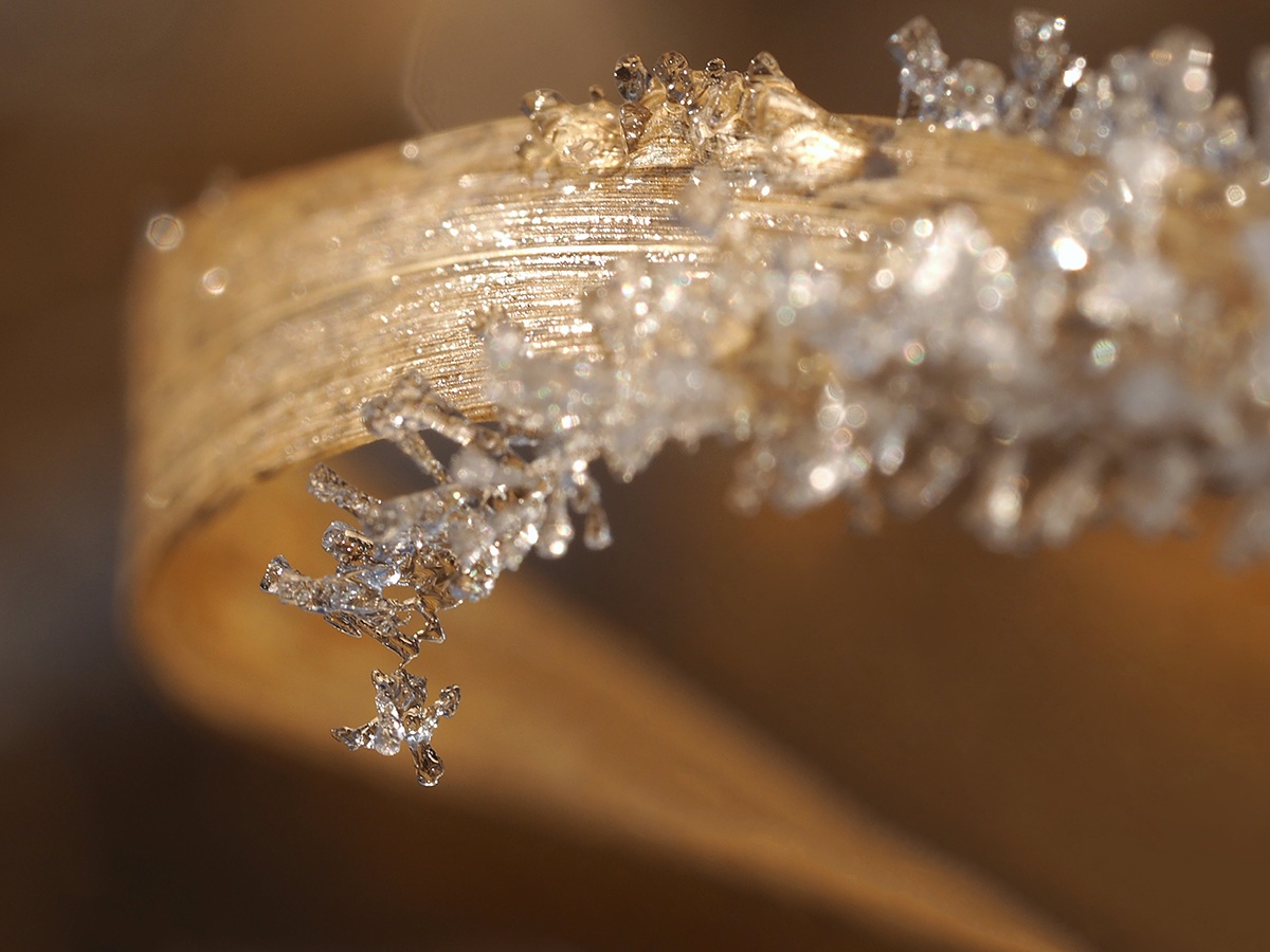 nature-makes-his-own-juwelry-ijskristal-op-blad