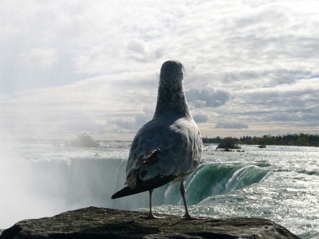 de-rand-van-de-wereld