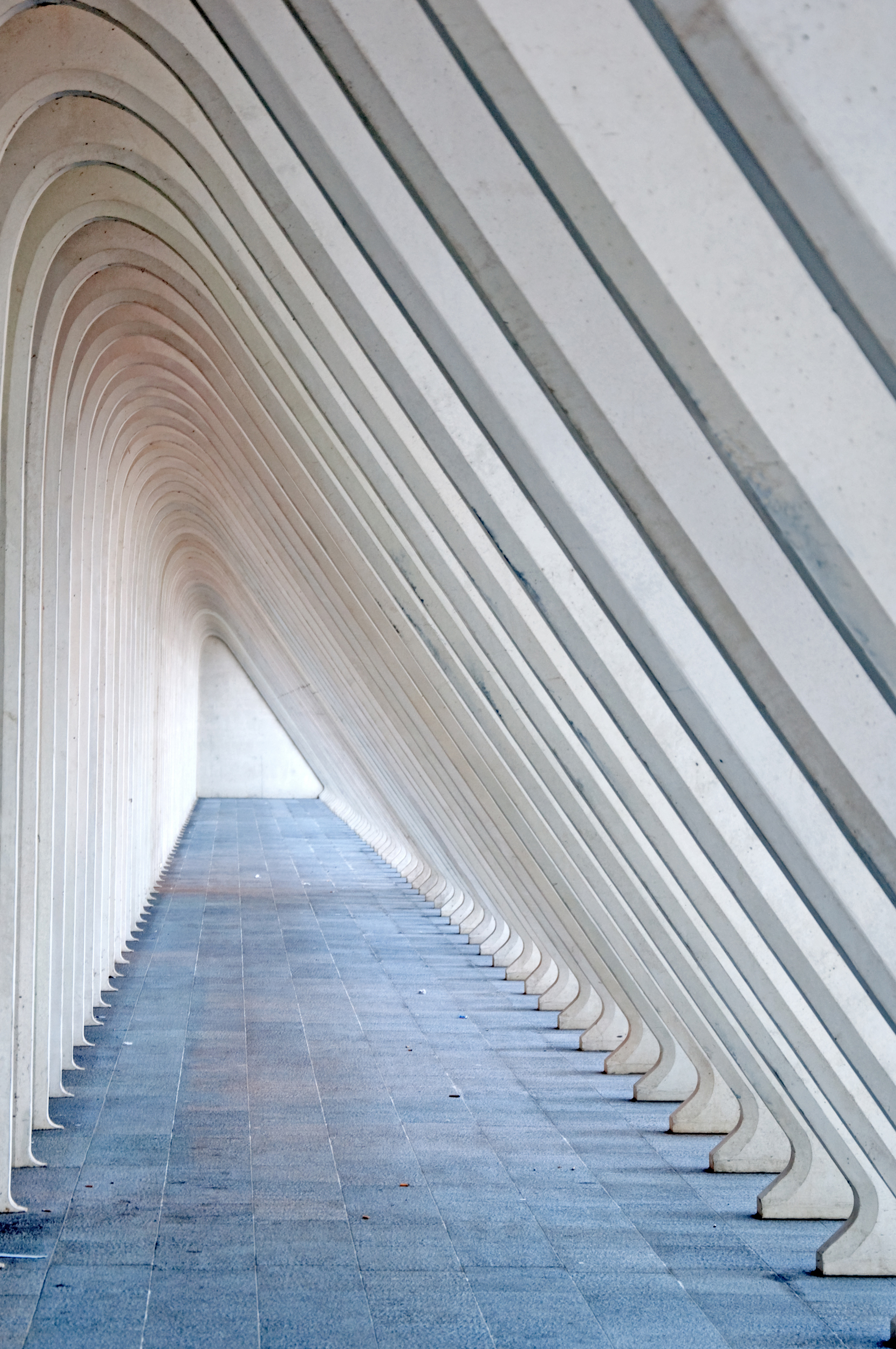 li%C3%A9ge-guillemin-ii