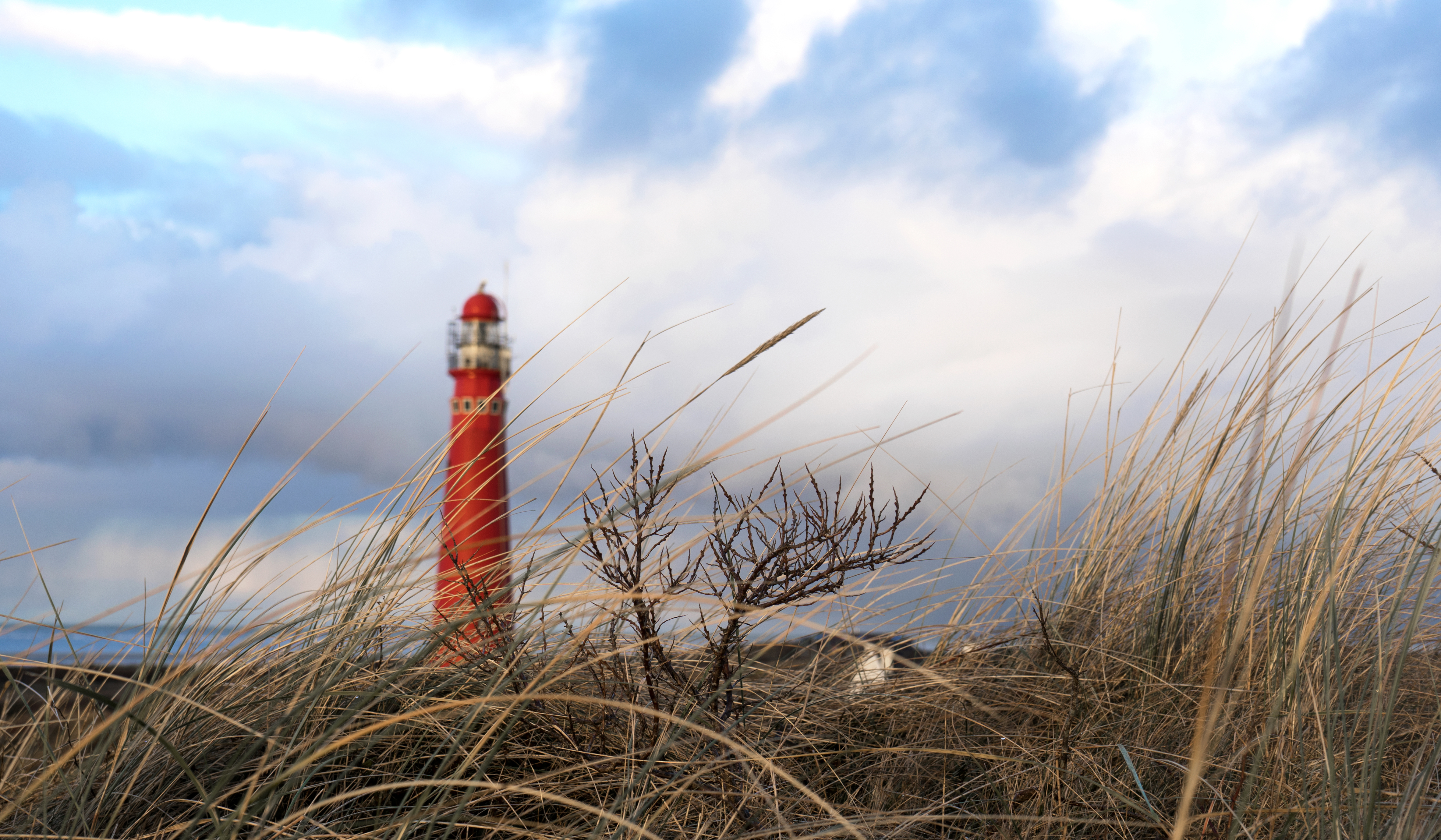 vuurtoren-schiermonnikoog-achter-het-duingras