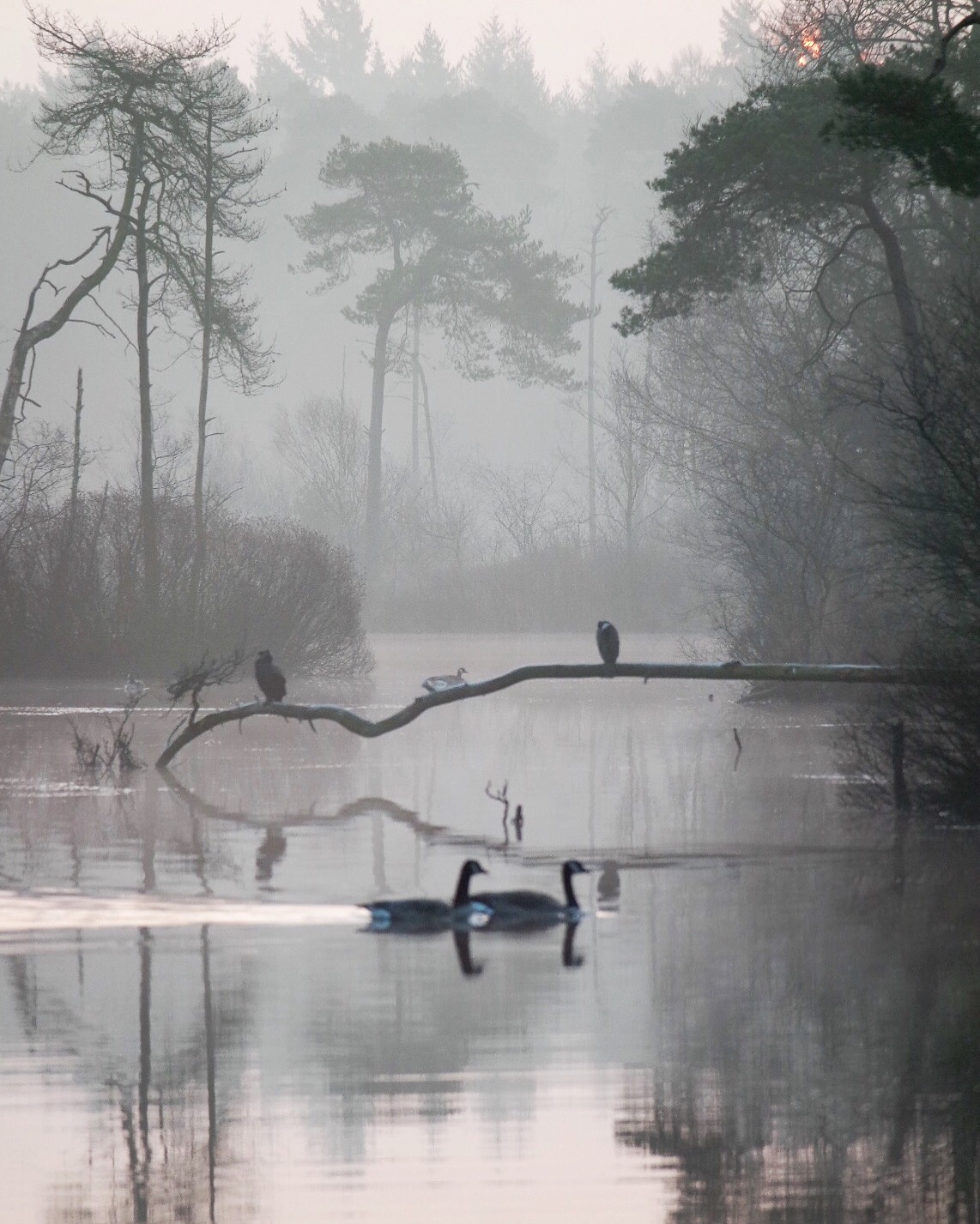 misty-morning-sunrise