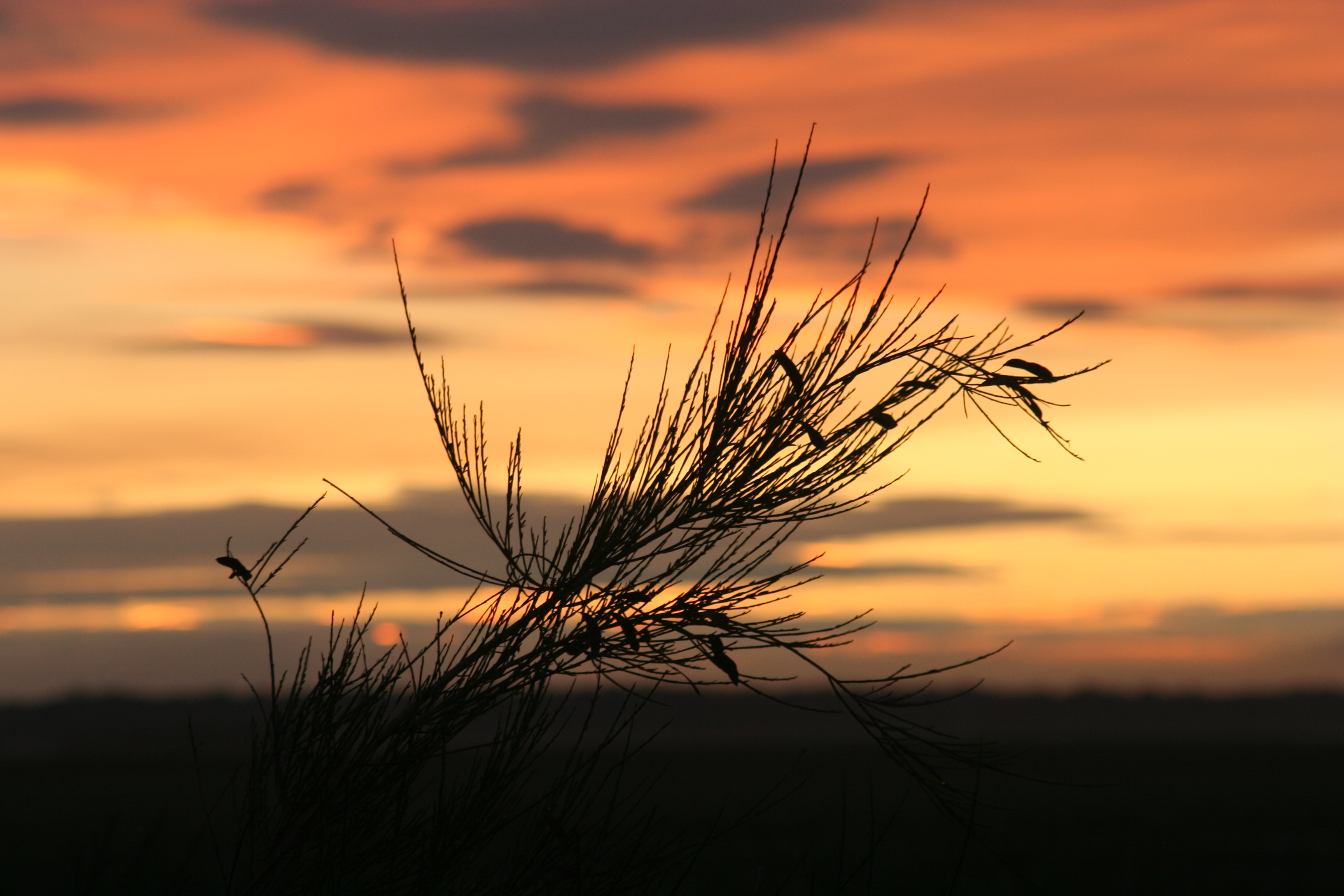 it-will-take-a-whole-year-again