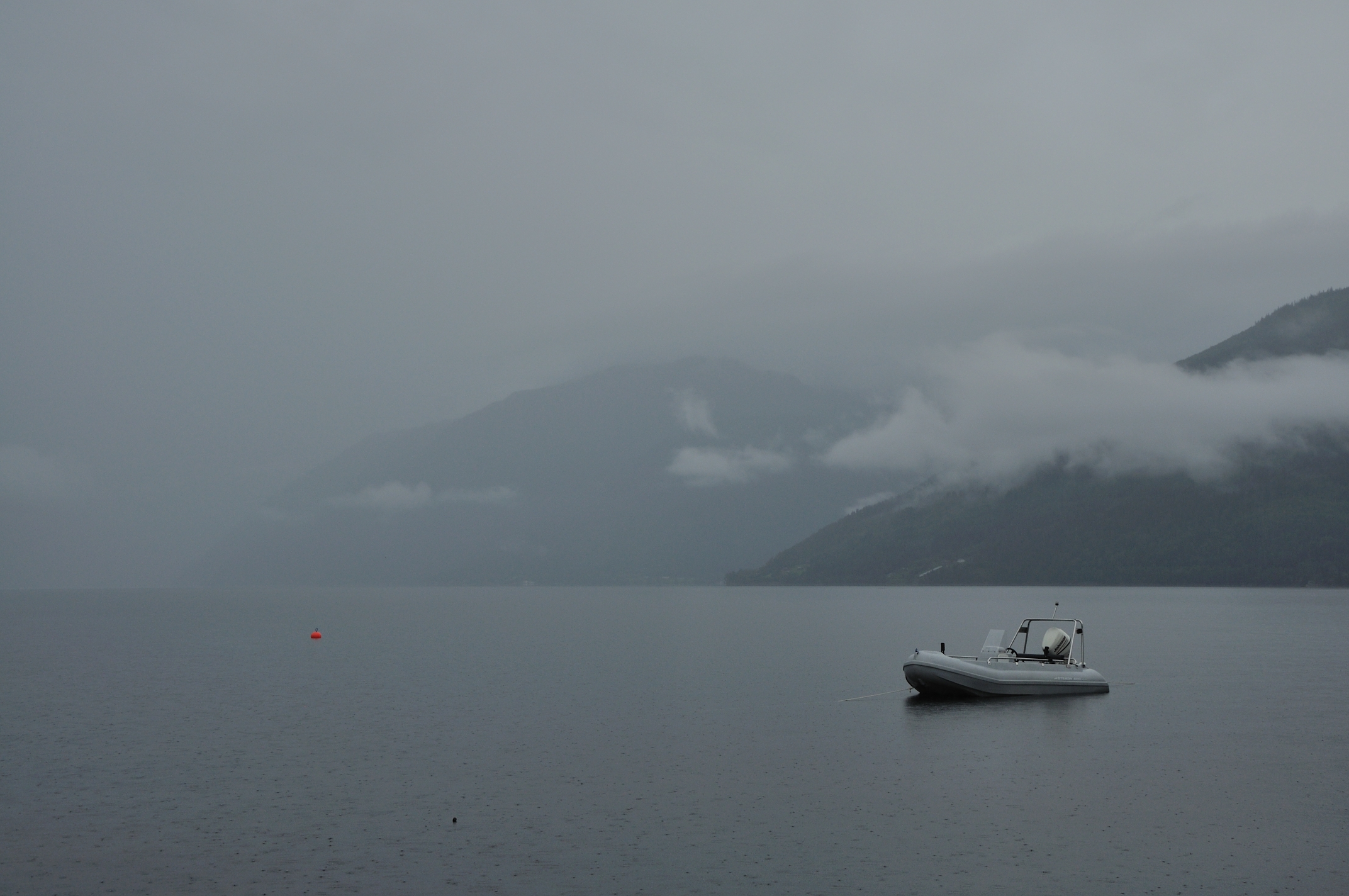 wat-niemand-verwachte