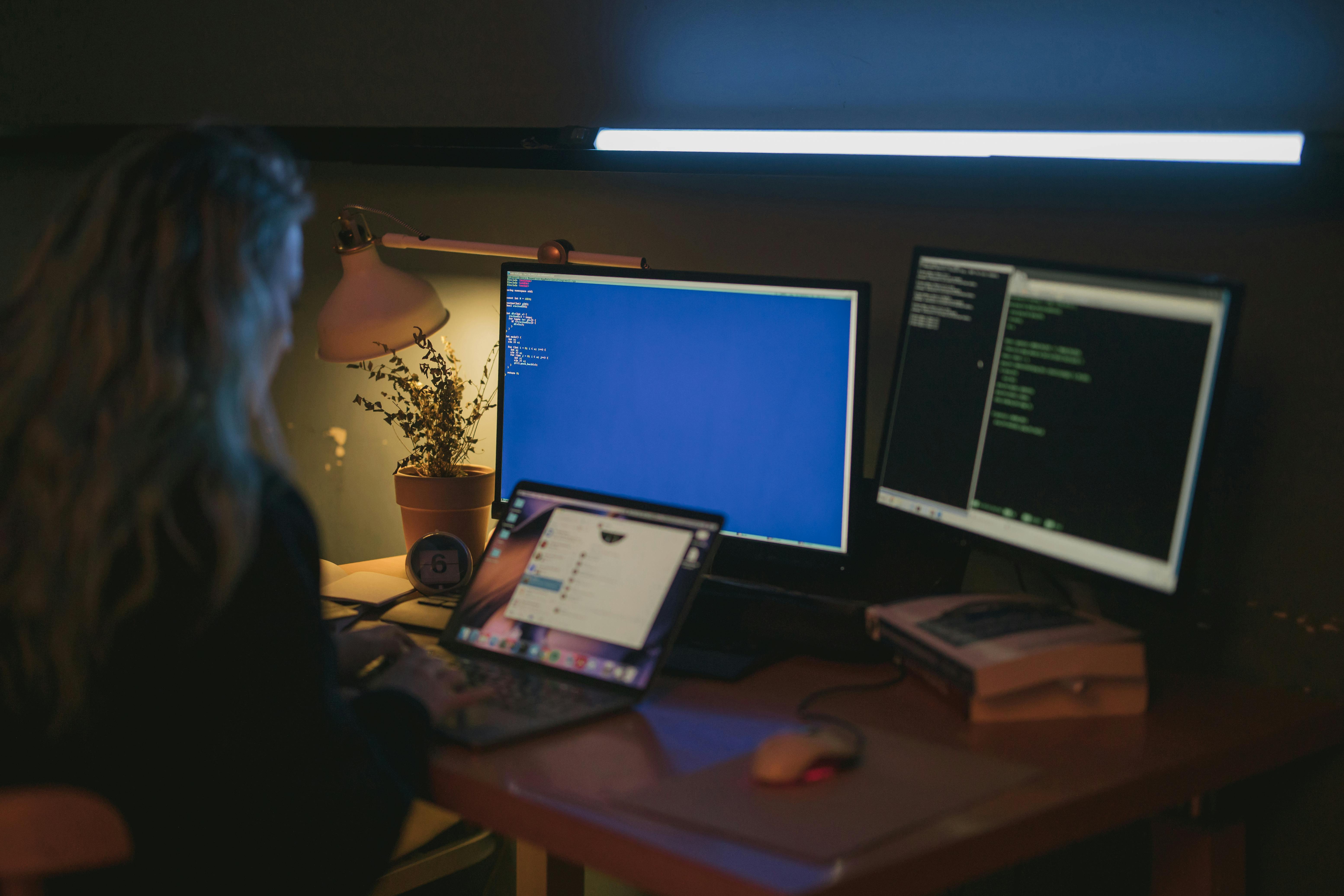 Freelance ICT Professional: from executor to advisor