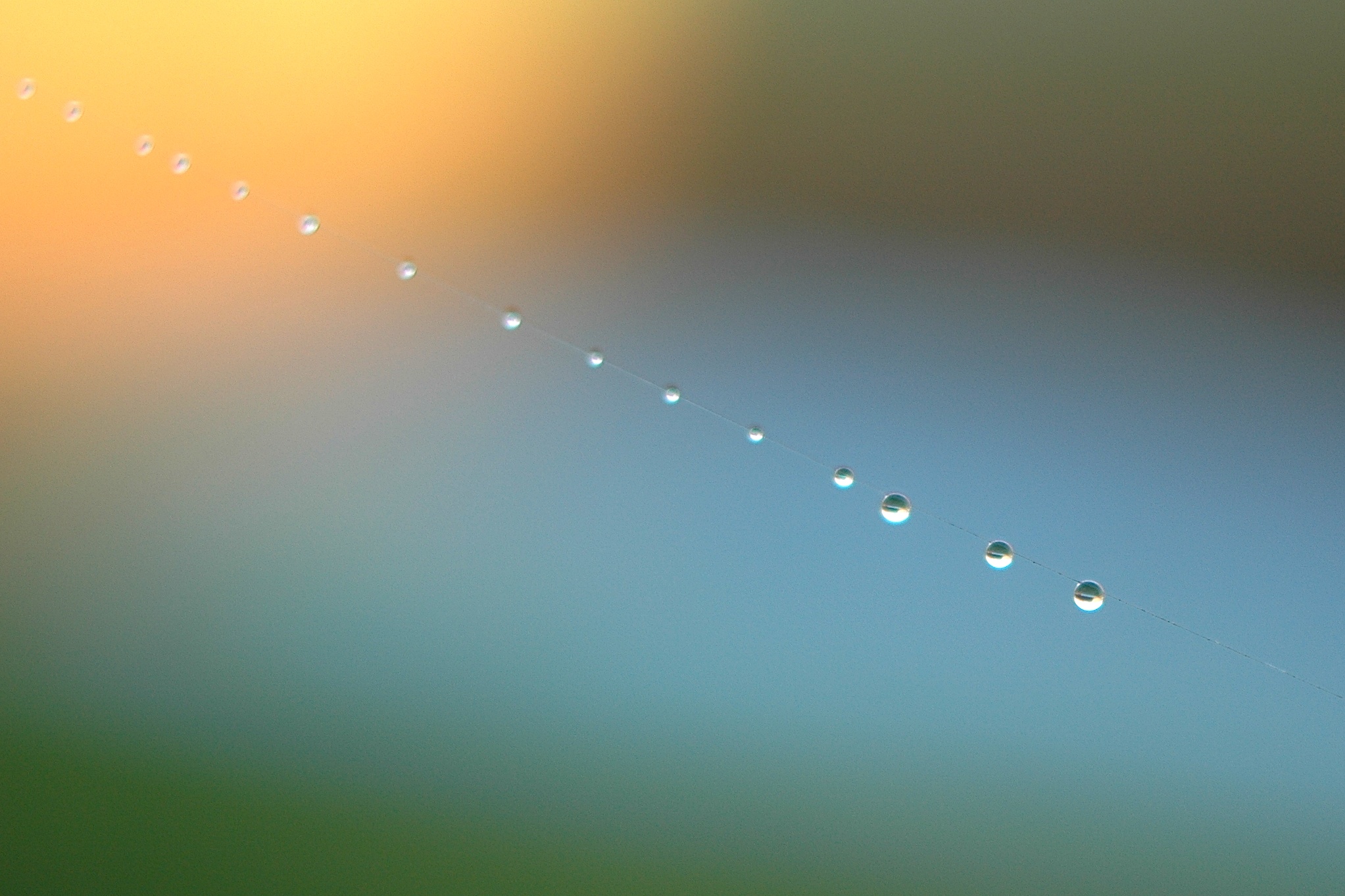 laatste-spinnendraad