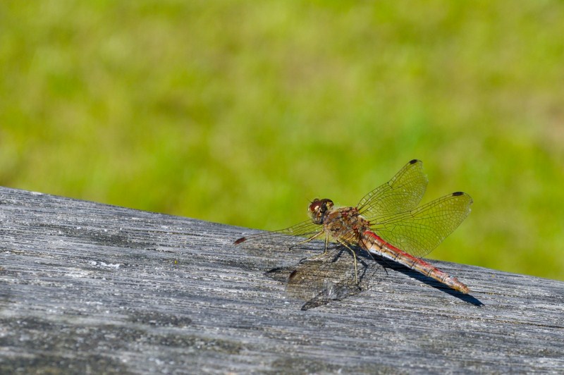 the-sky-is-the-limit-3