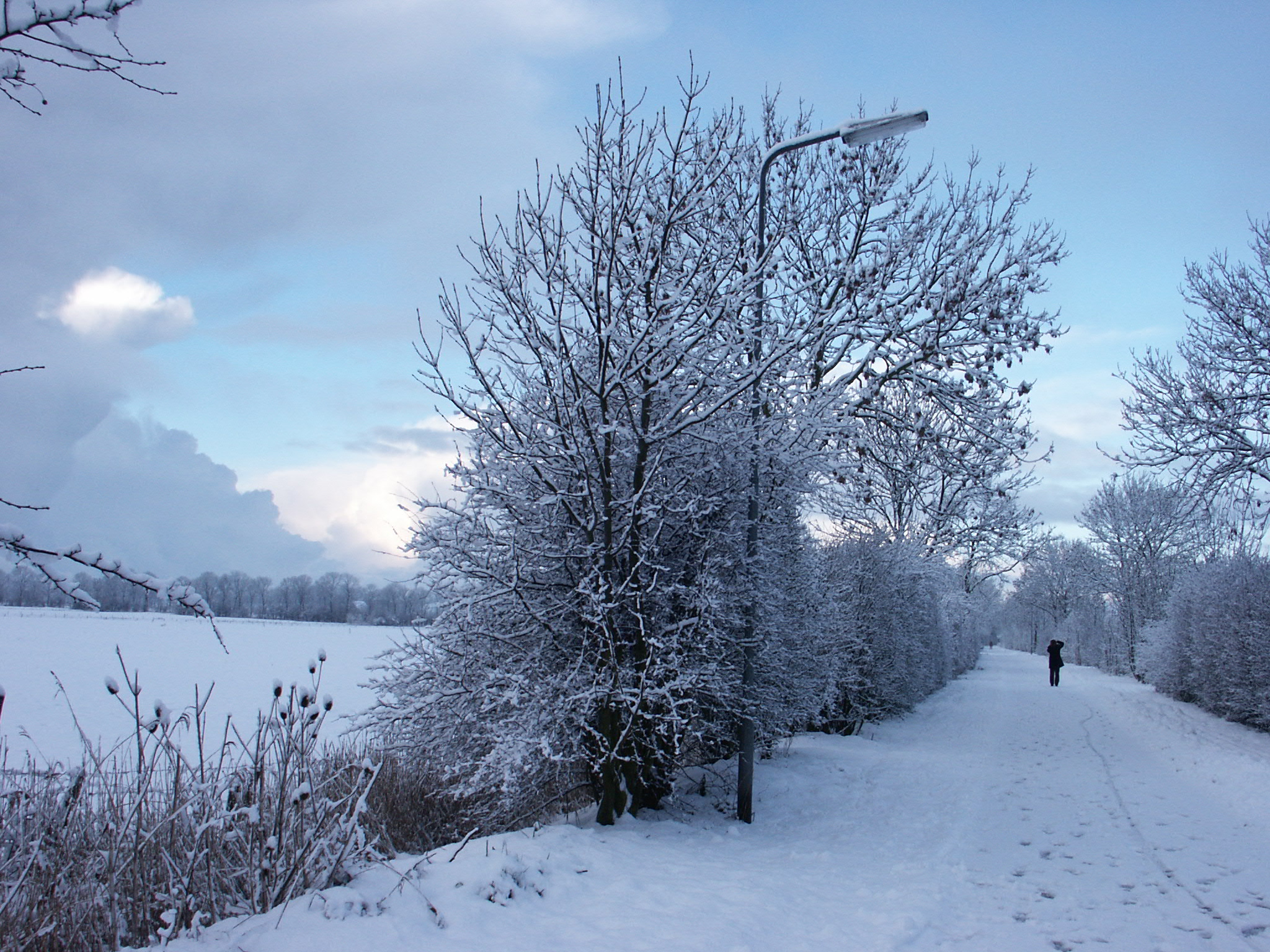 besneeuwd-middelburg