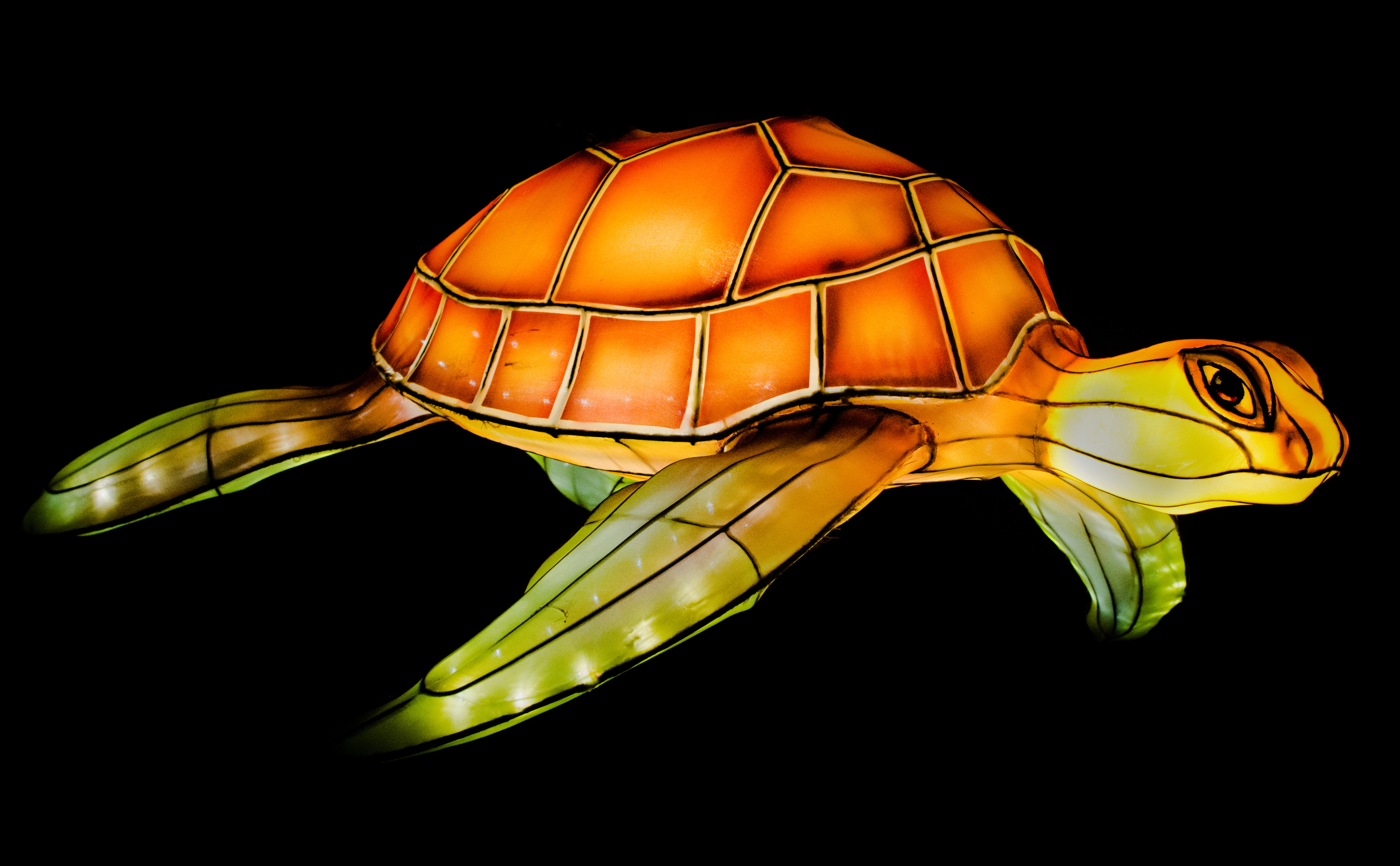 burgers-zoo-arnhem-light-special