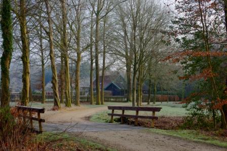 een-grindpad-over-een-landgoed