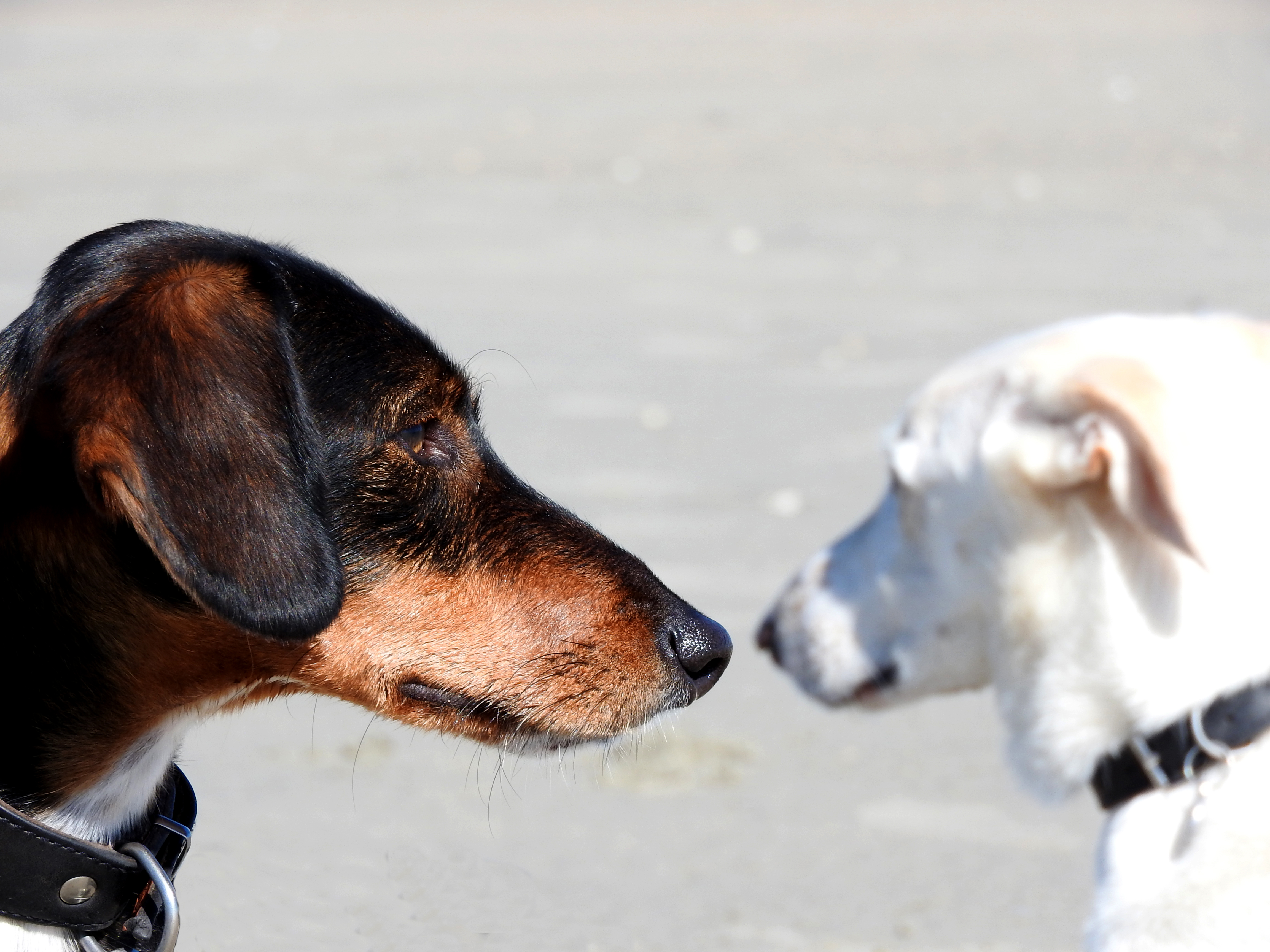 we-negeren-elkaar-gewoon