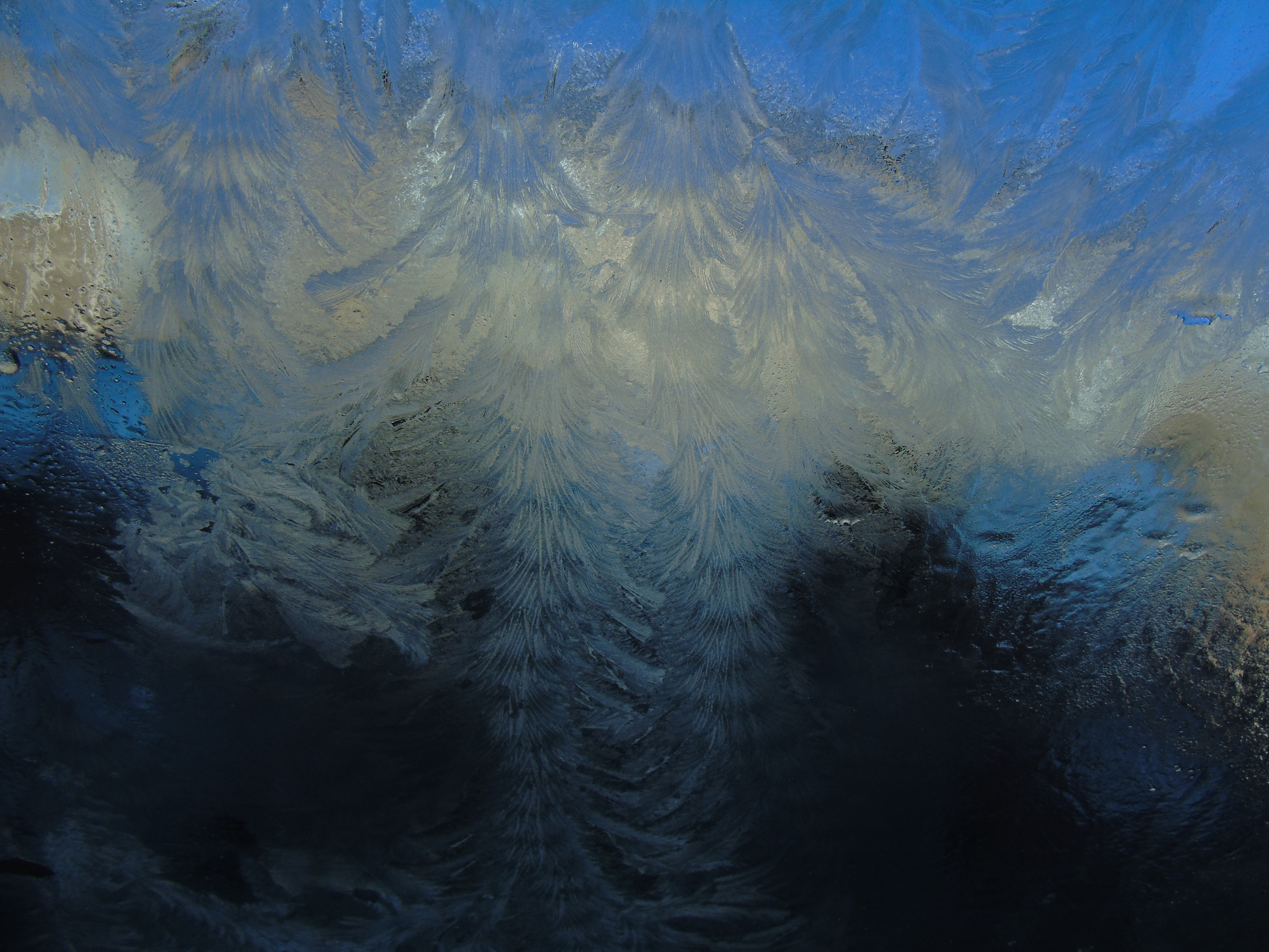 vorst-op-de-autoruit