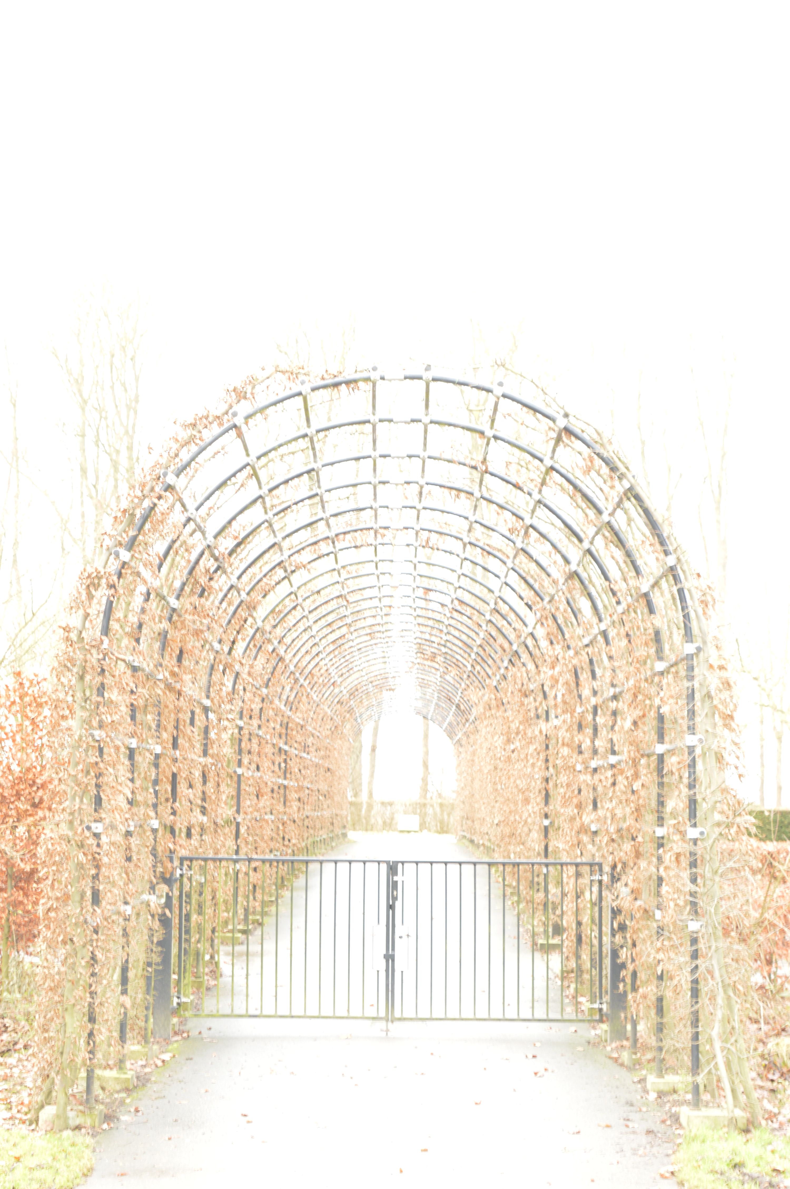 de-doorgang-naar-de-hemel-begraafplaats-nagele