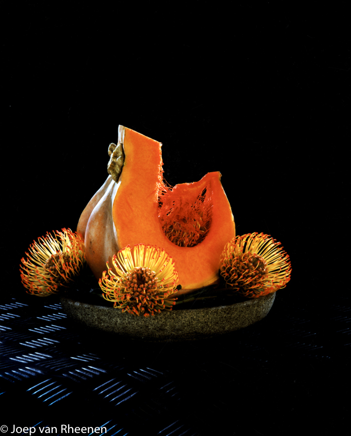 de-kip-met-de-gouden-eieren