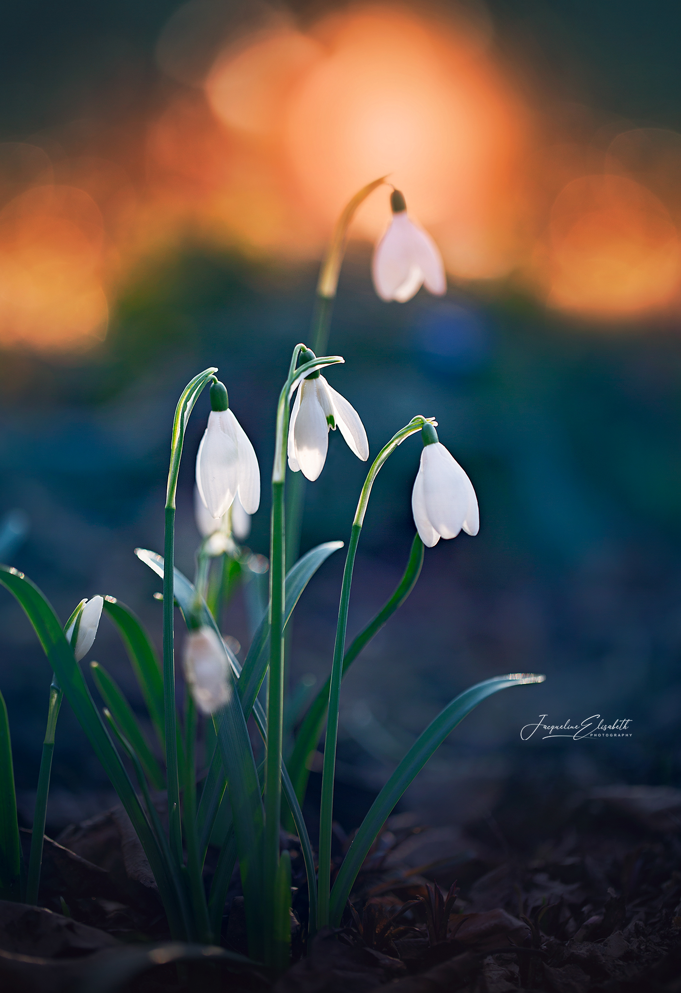 spring-is-on-its-way