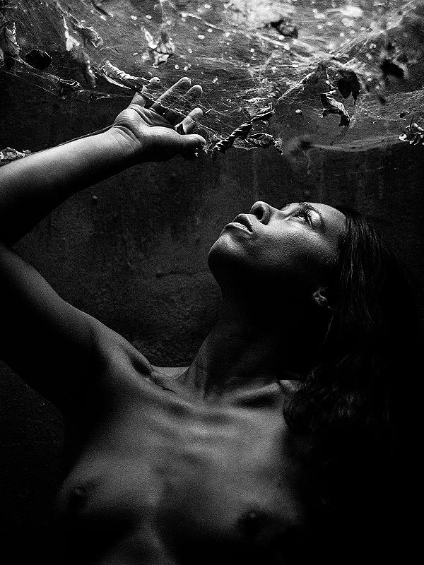 in-de-spotlight-marco-de-waal