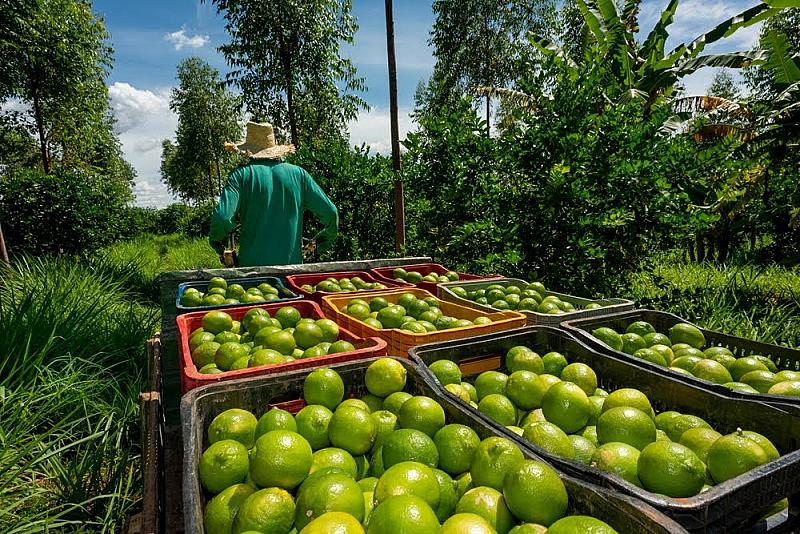 mondra-en-impactbuying-bundelen-krachten-voor-inzicht-in-uitstoot-per-product