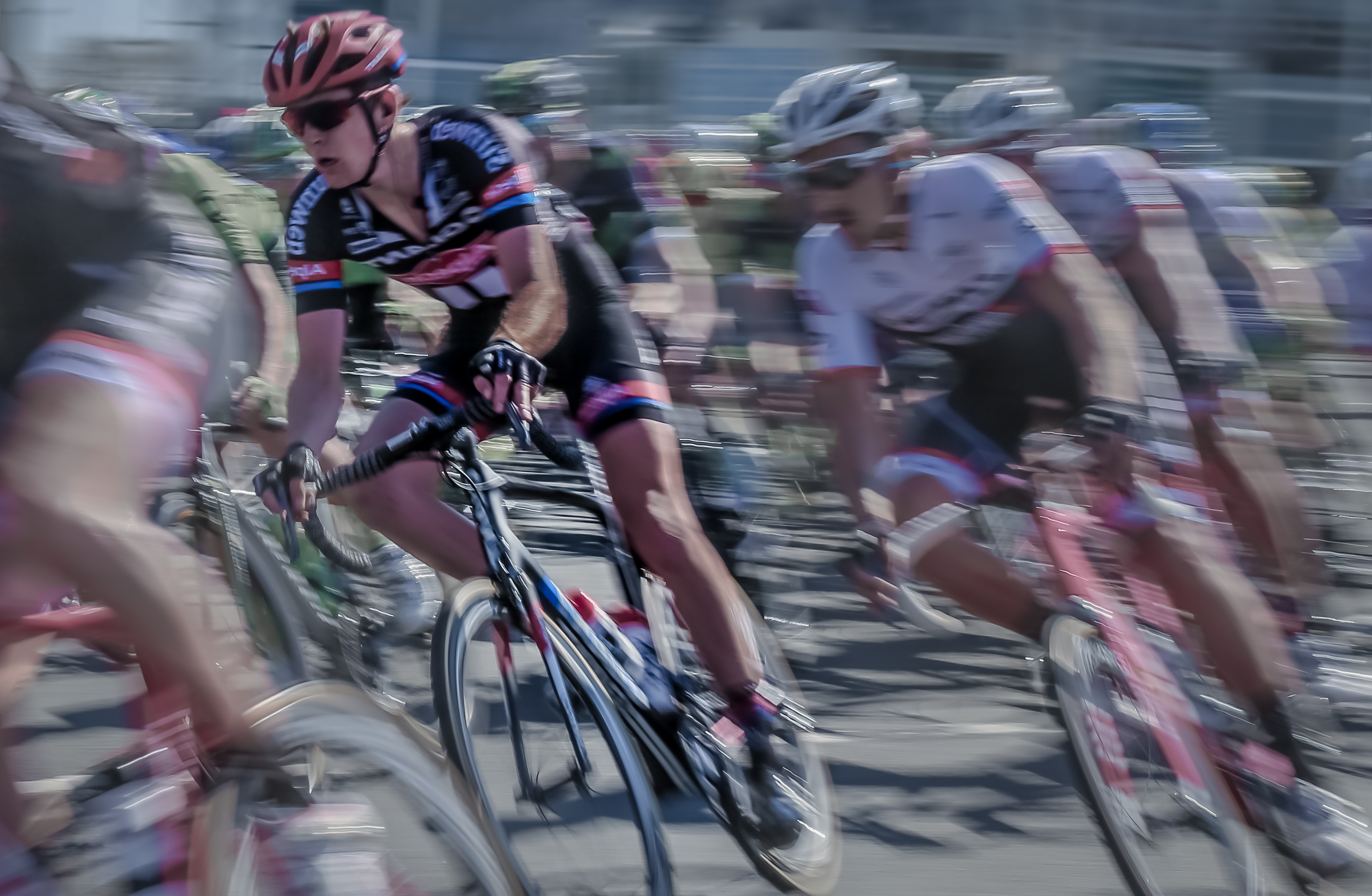 the-winner-takes-it-all-1