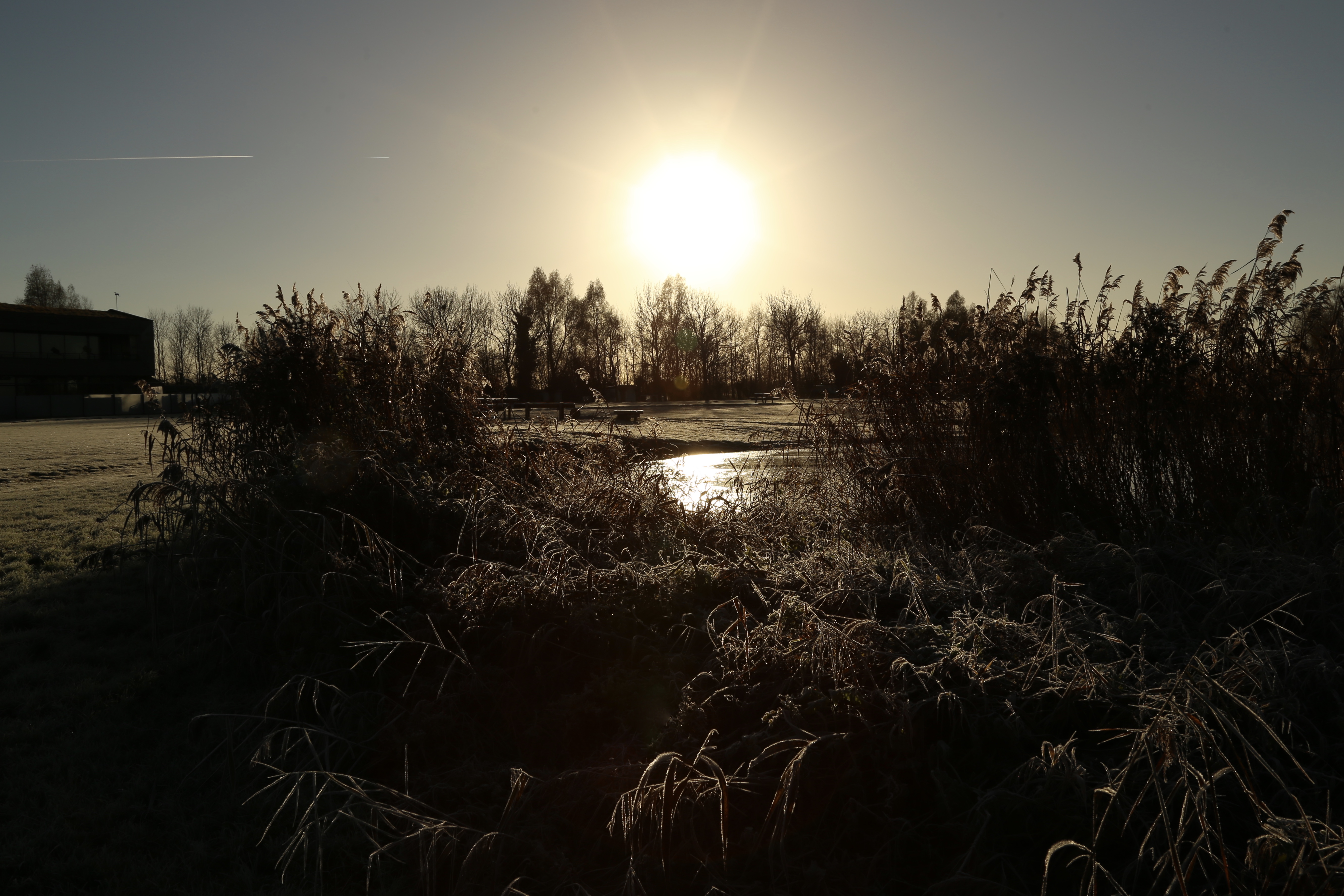 zonsopkomst-bij-de-leyen-friesland
