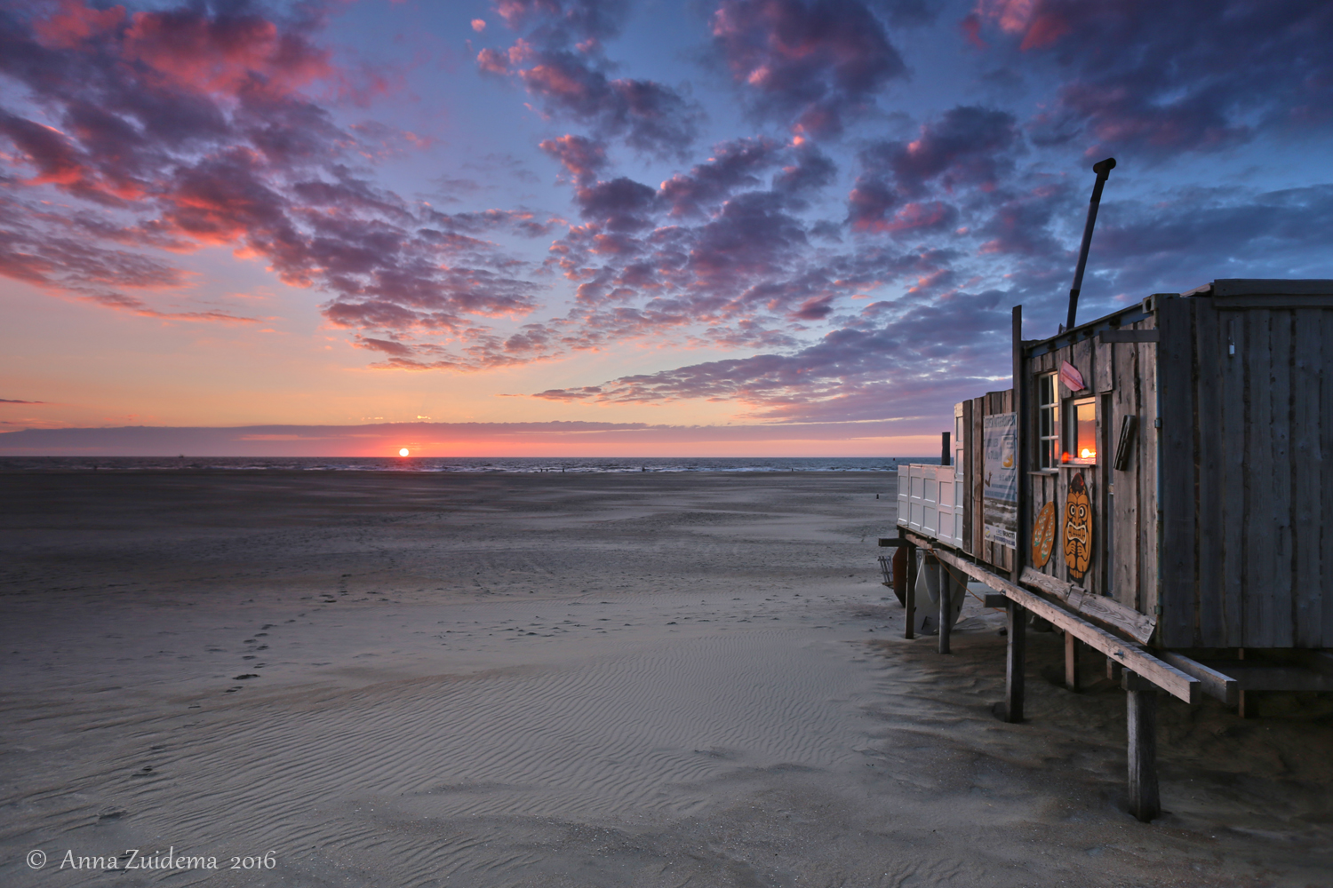 spotlight-weekwinnaar-45-2016