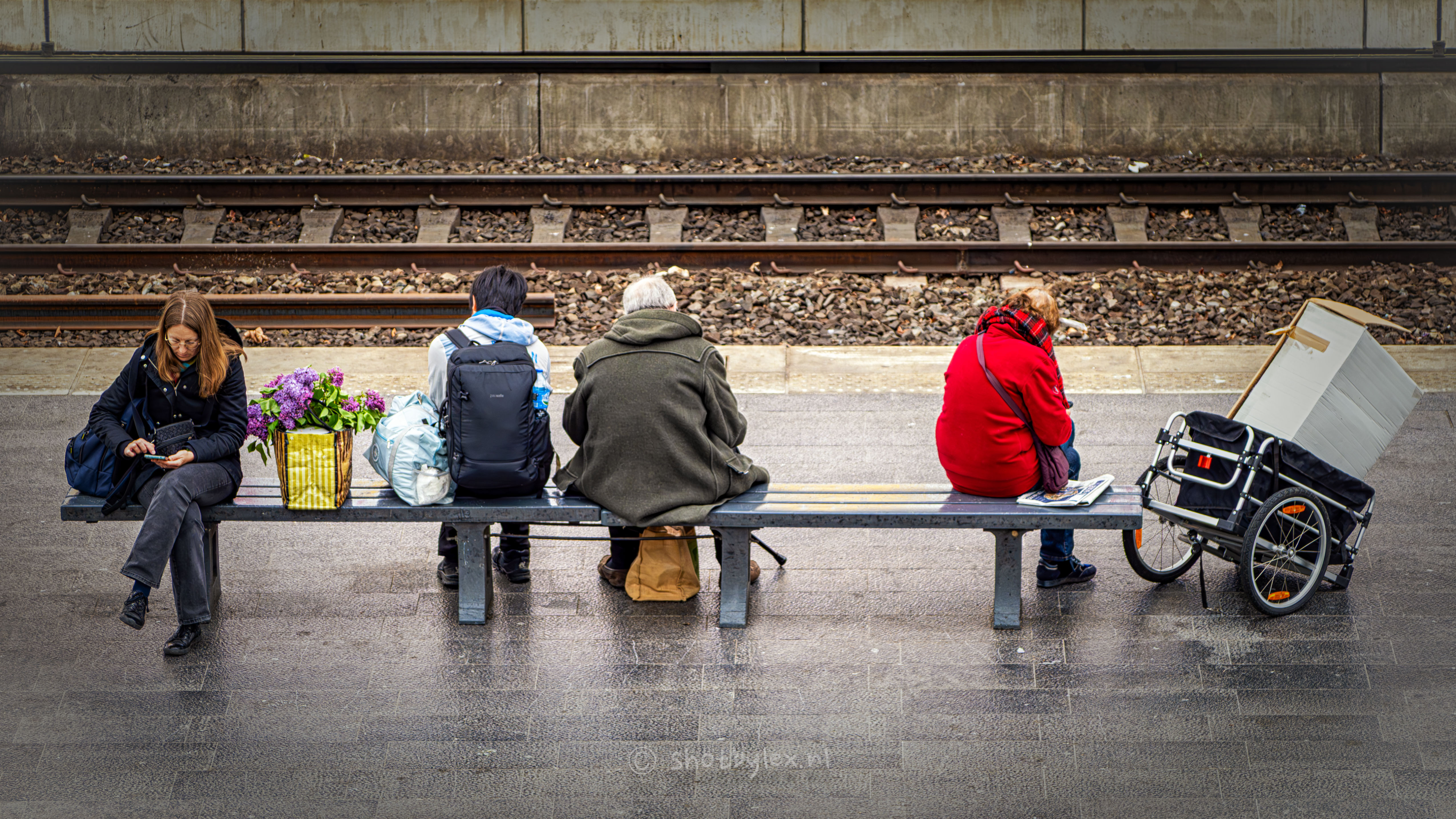 what-are-you-bringing