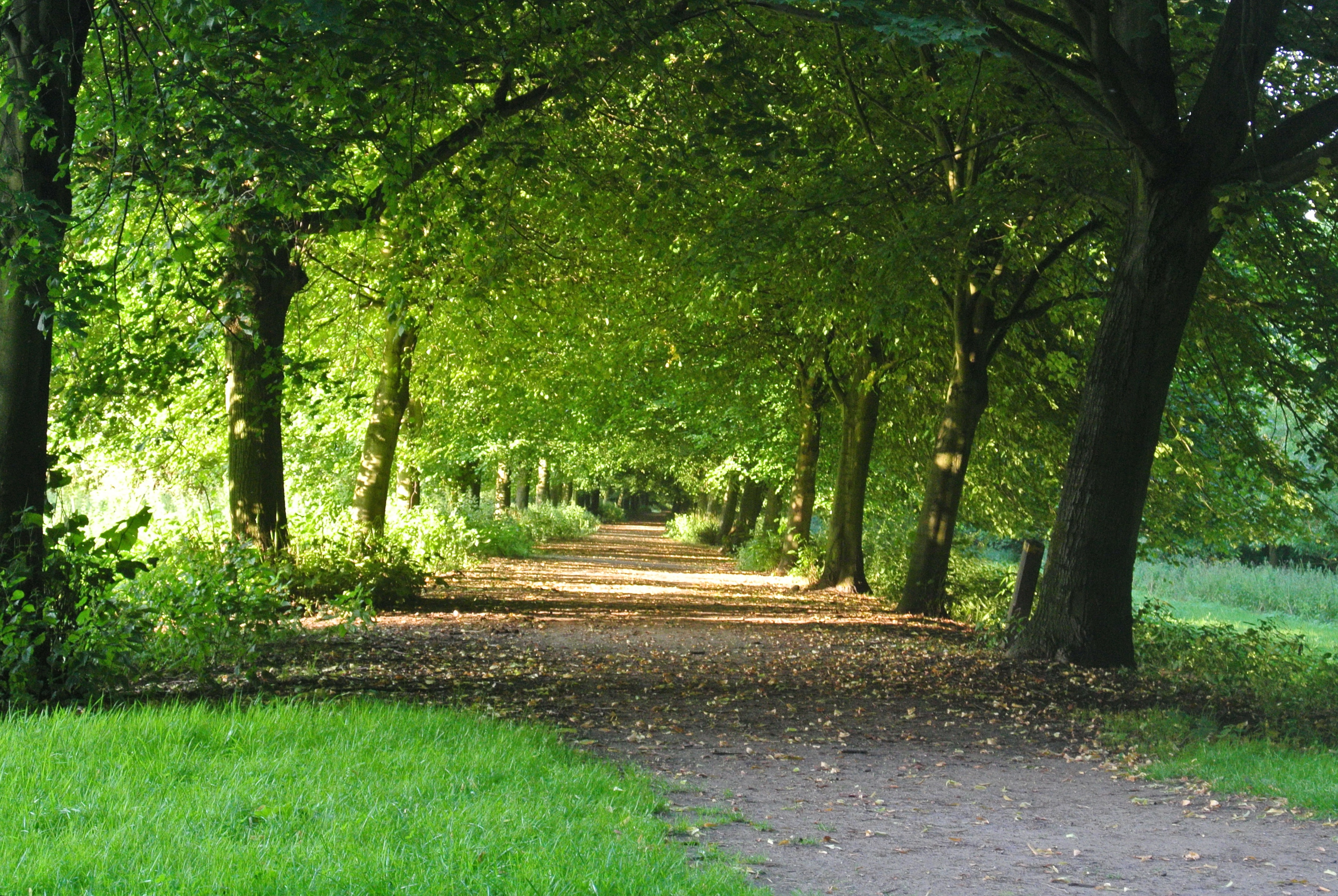 broekpolder-vlaardingen