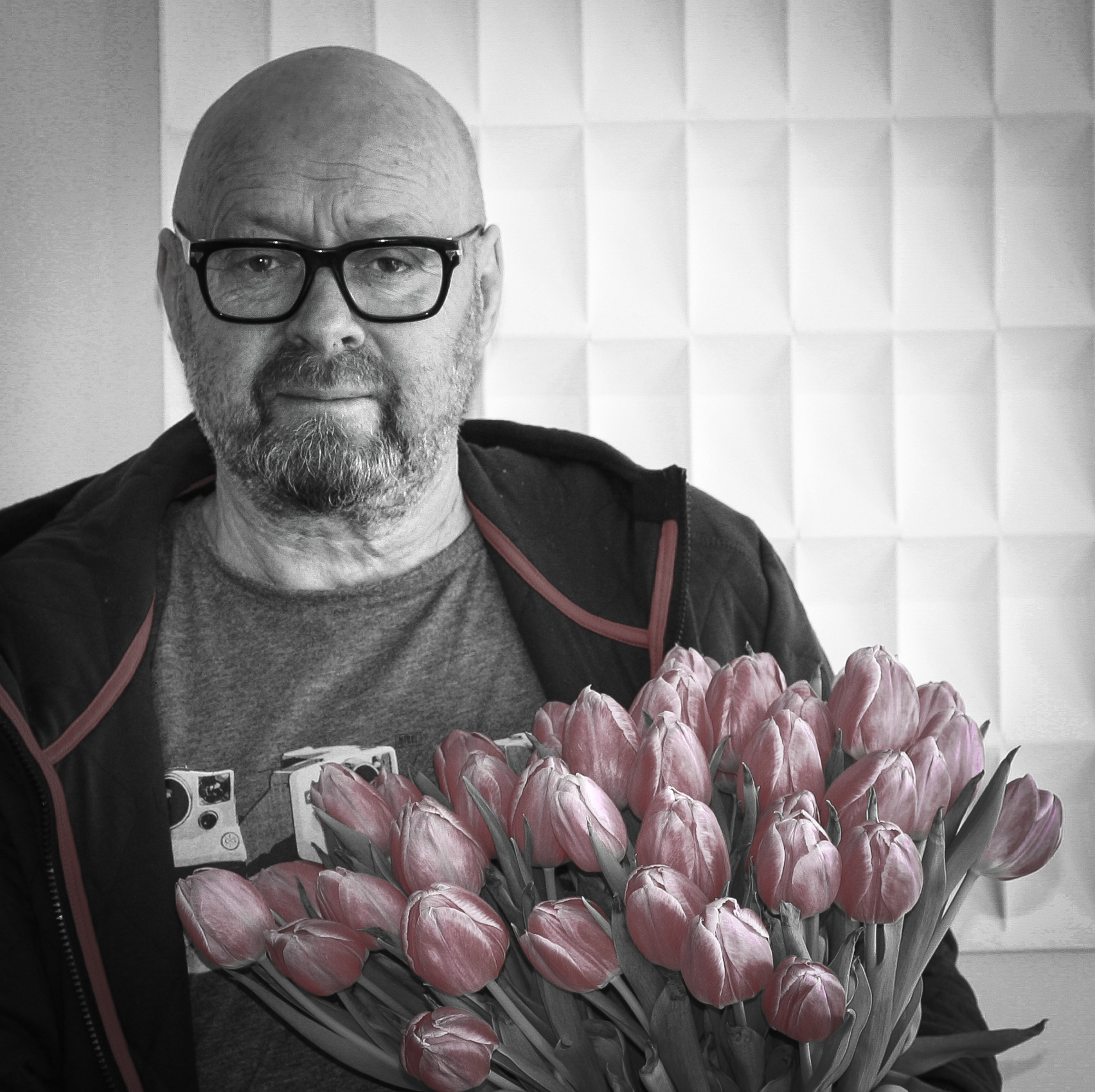 tulpen-uit-naaldwijk