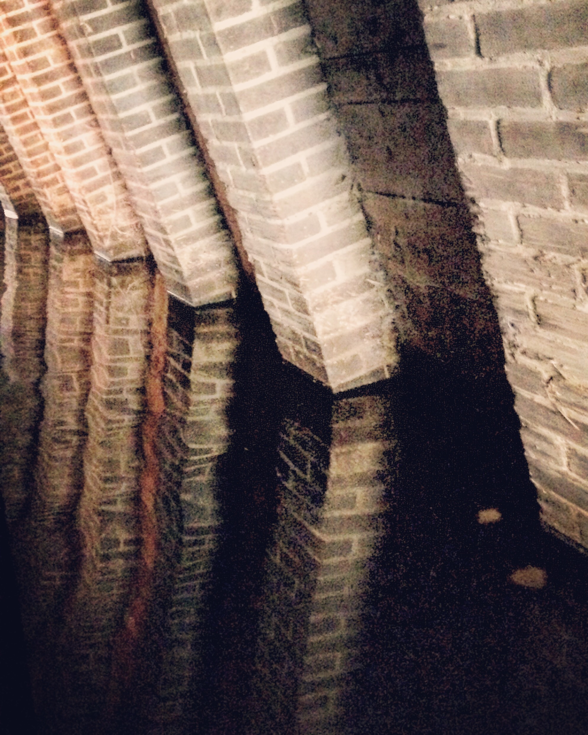 binnendieze-den-bosch