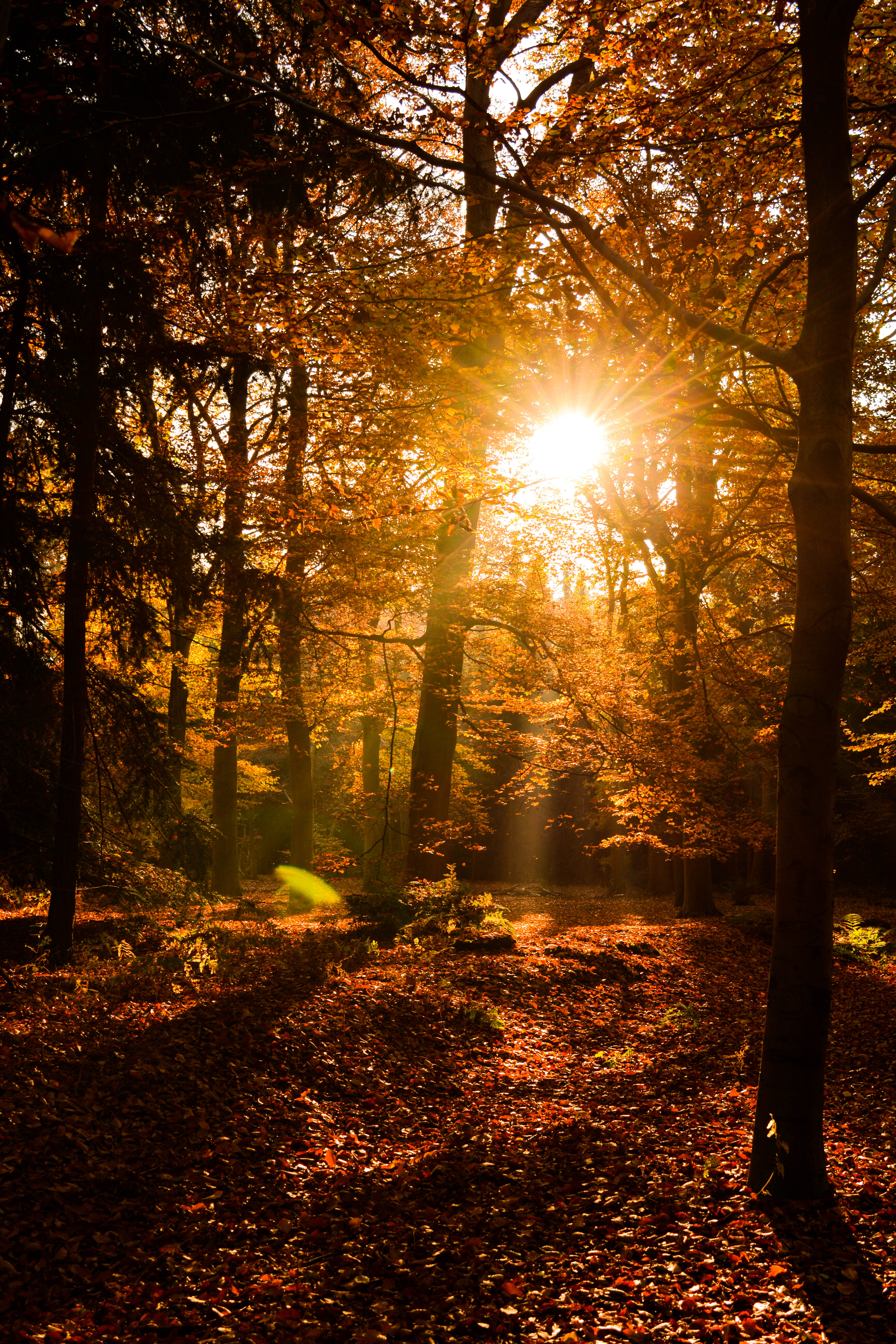 genieten-van-de-herfst-3