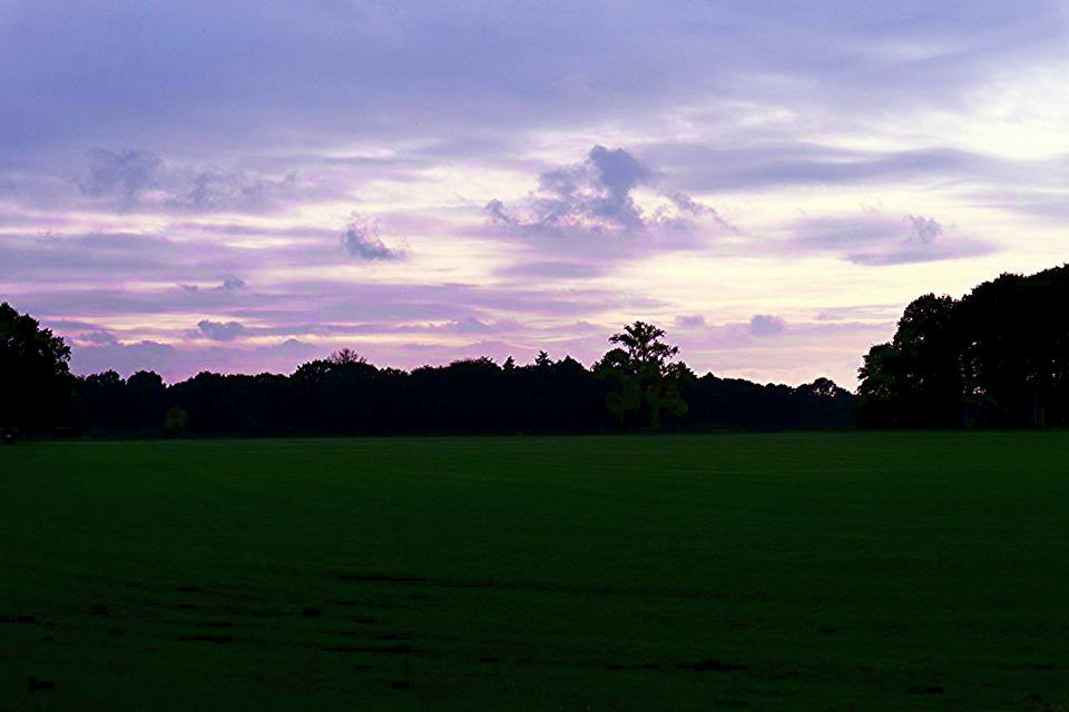 love-is-in-the-air-3