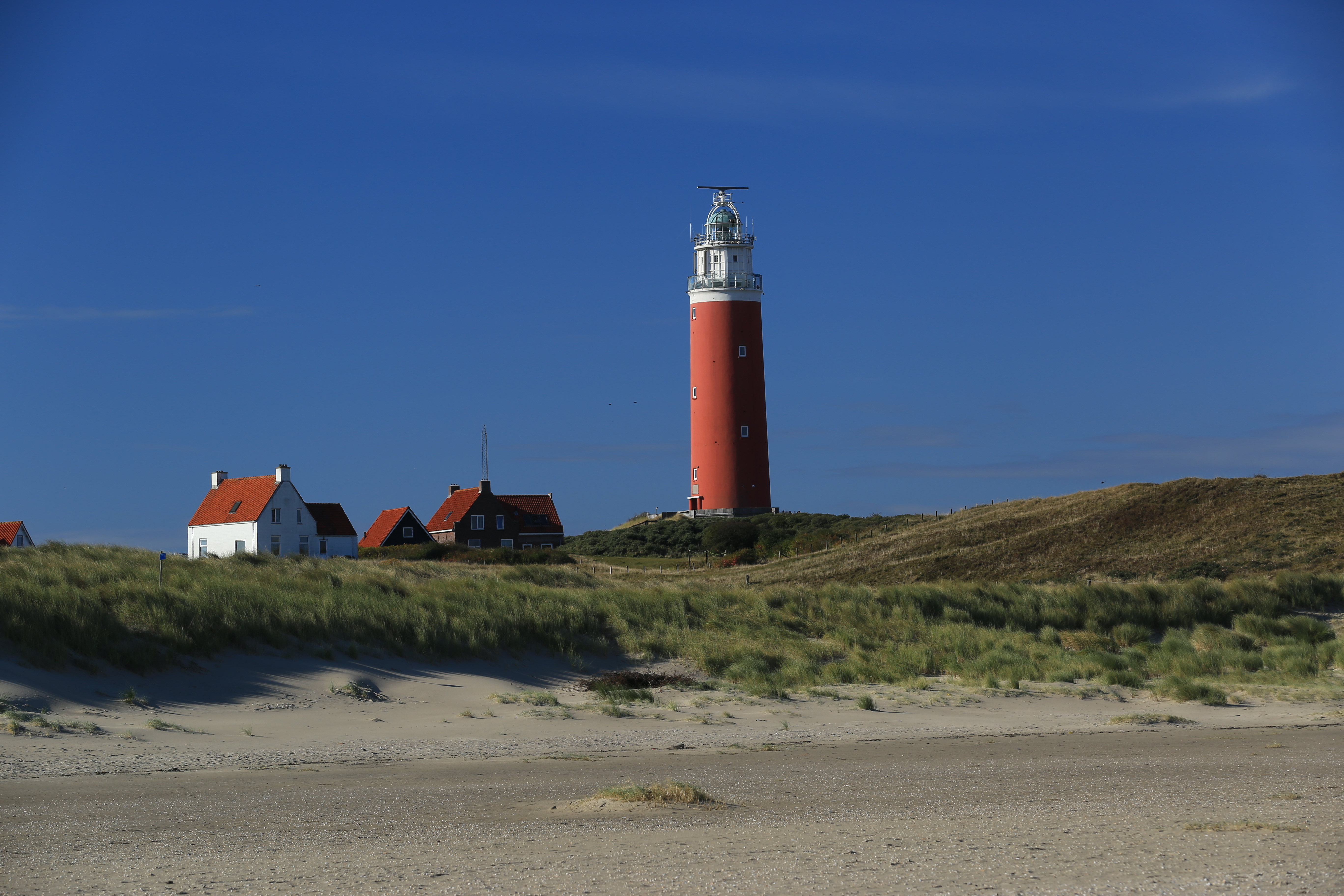 texel-0