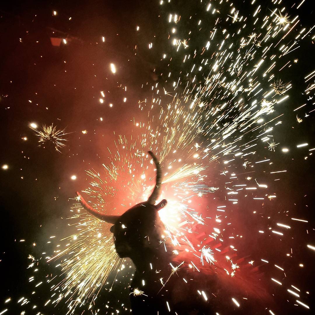 toro-de-fuego-een-knallend-avontuur-nepstier