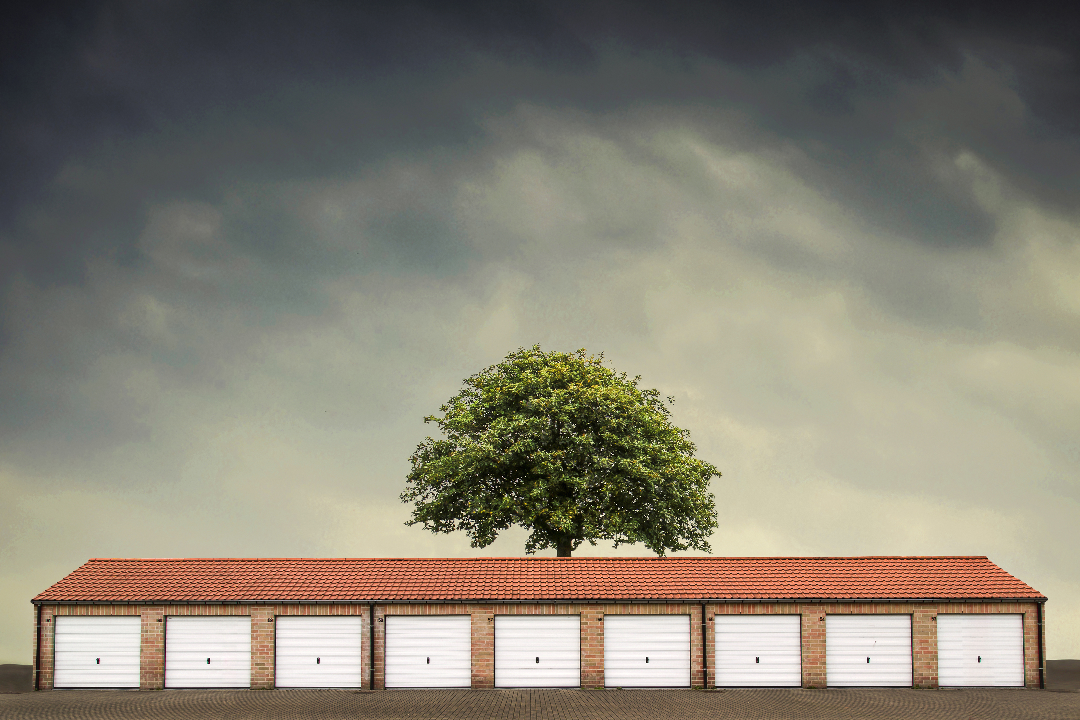 spotlight-weekwinnaar-41-2016