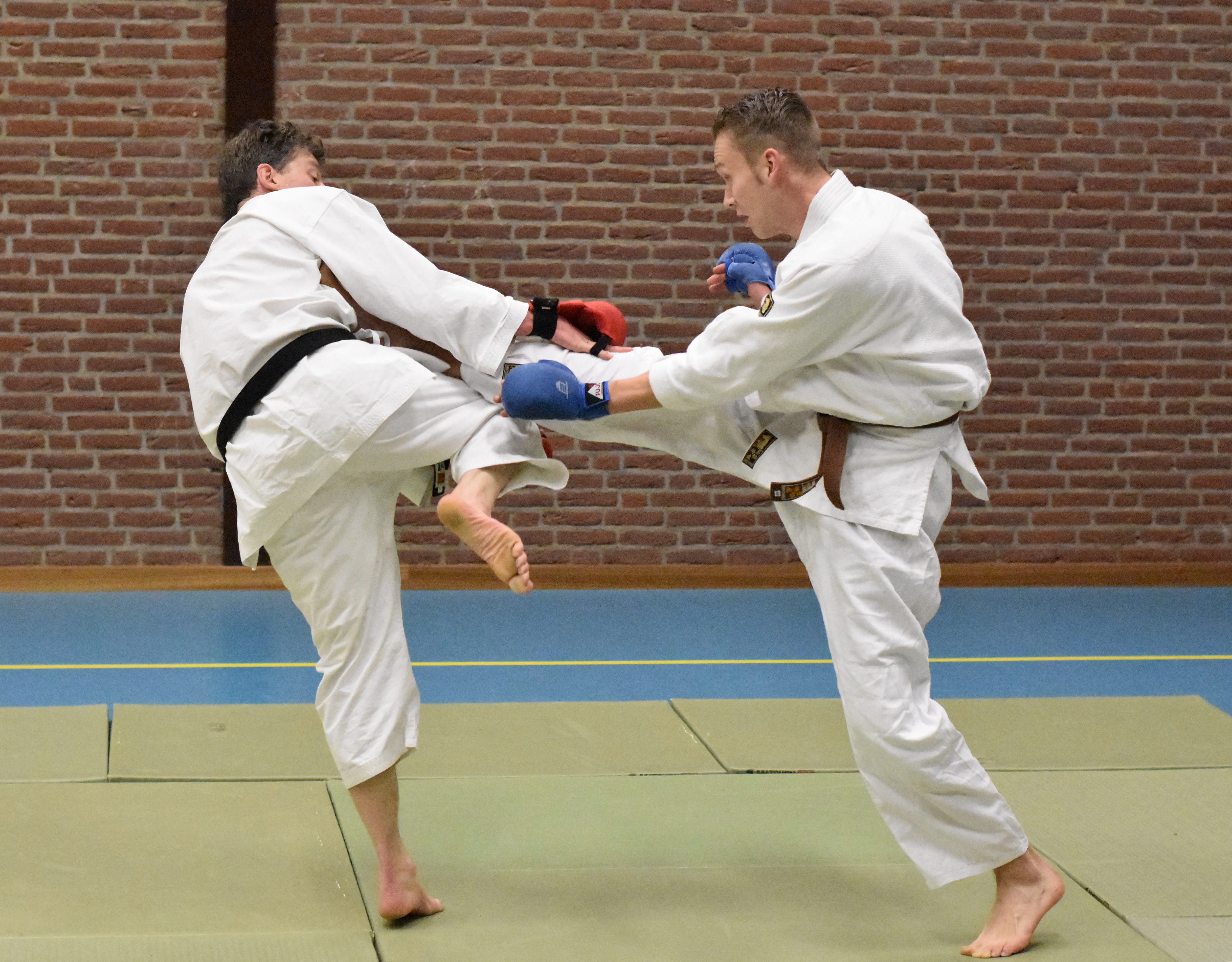 karate-papendrecht