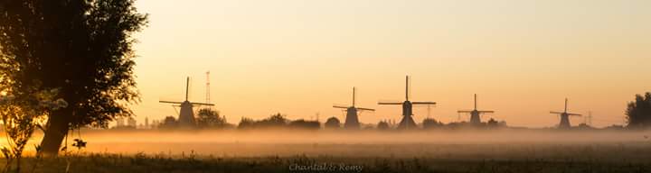 kinderdijk-10
