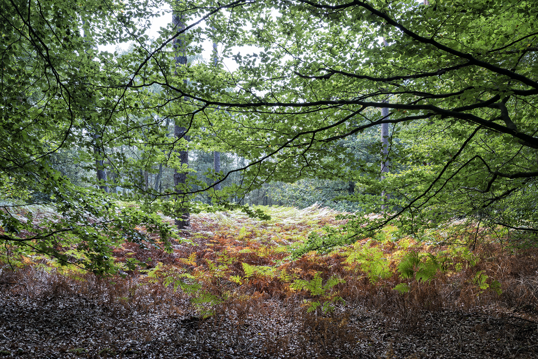 kleur-na-verloop-van-tijd