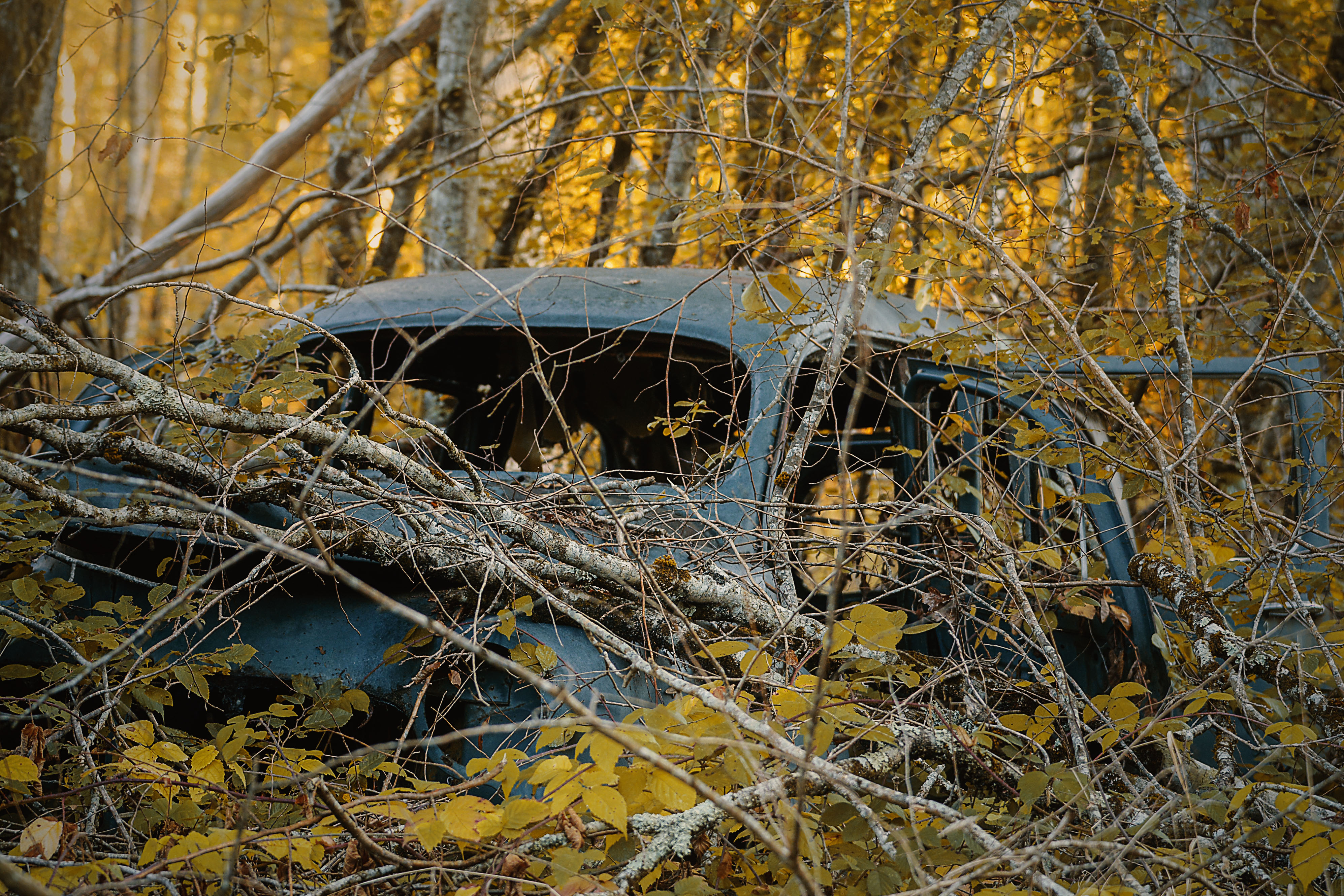 peugeot-403-bien-cach%C3%A9